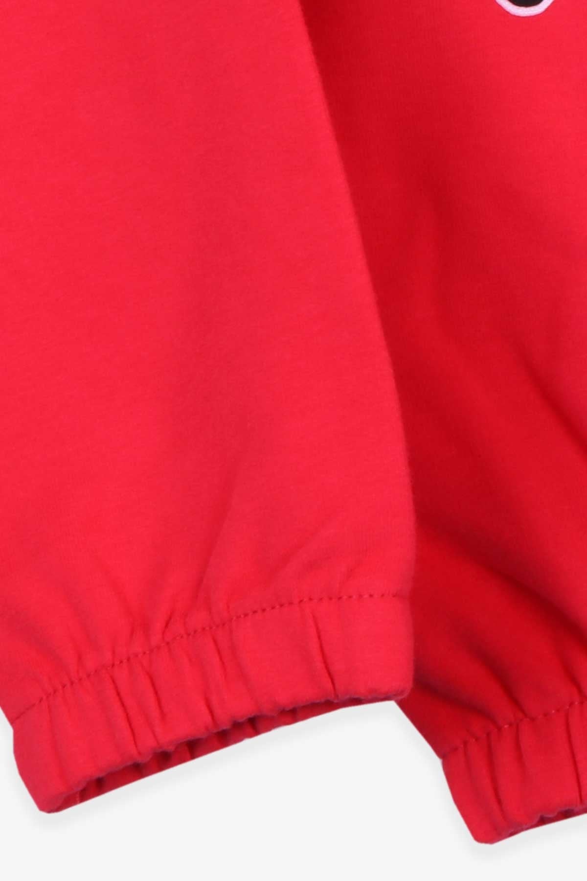 Breeze Kız Çocuk Sweatshirt Baskılı Fırfırlı Narçiçeği (3-7 Yaş)