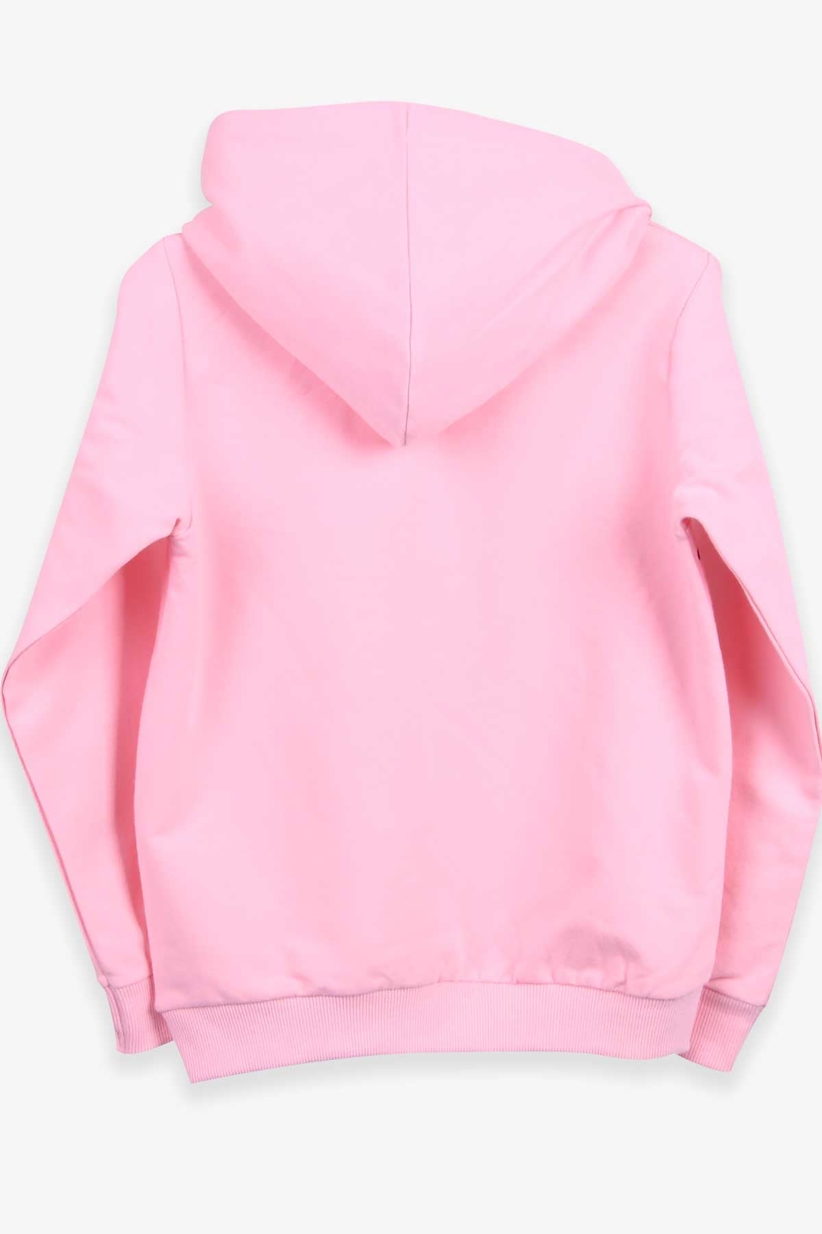Breeze Kız Çocuk Sweatshirt Baskılı Kapüşonlu Pudra (7-12 Yaş)