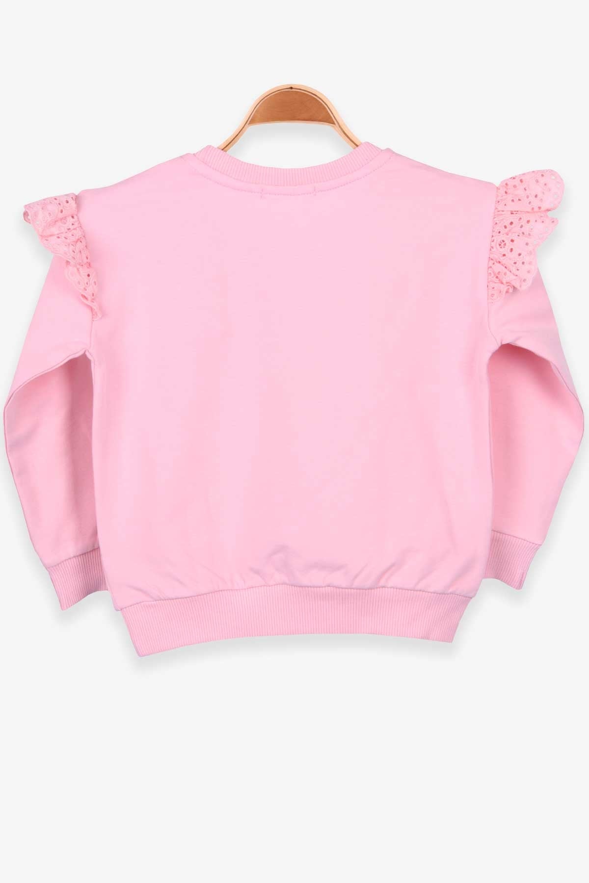 Breeze Kız Çocuk Sweatshirt Baskılı Pudra (2-6 Yaş)