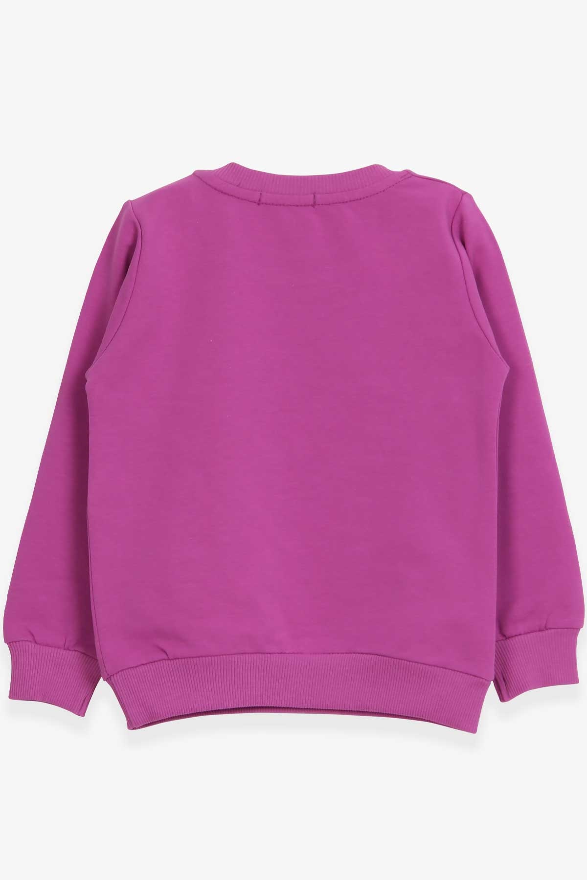Breeze Kız Çocuk Sweatshirt Baskılı Pullu Unicorn Mor (2-6 Yaş)
