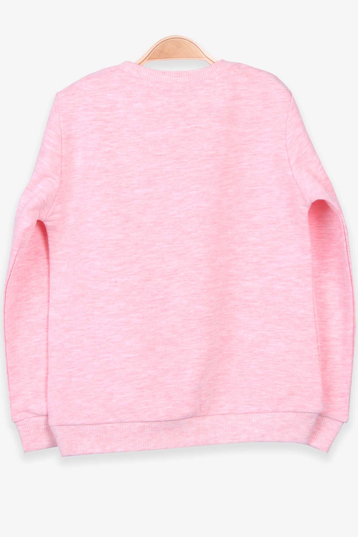 Breeze Kız Çocuk Sweatshirt Baskılı Somon Melanj (3-7 Yaş)