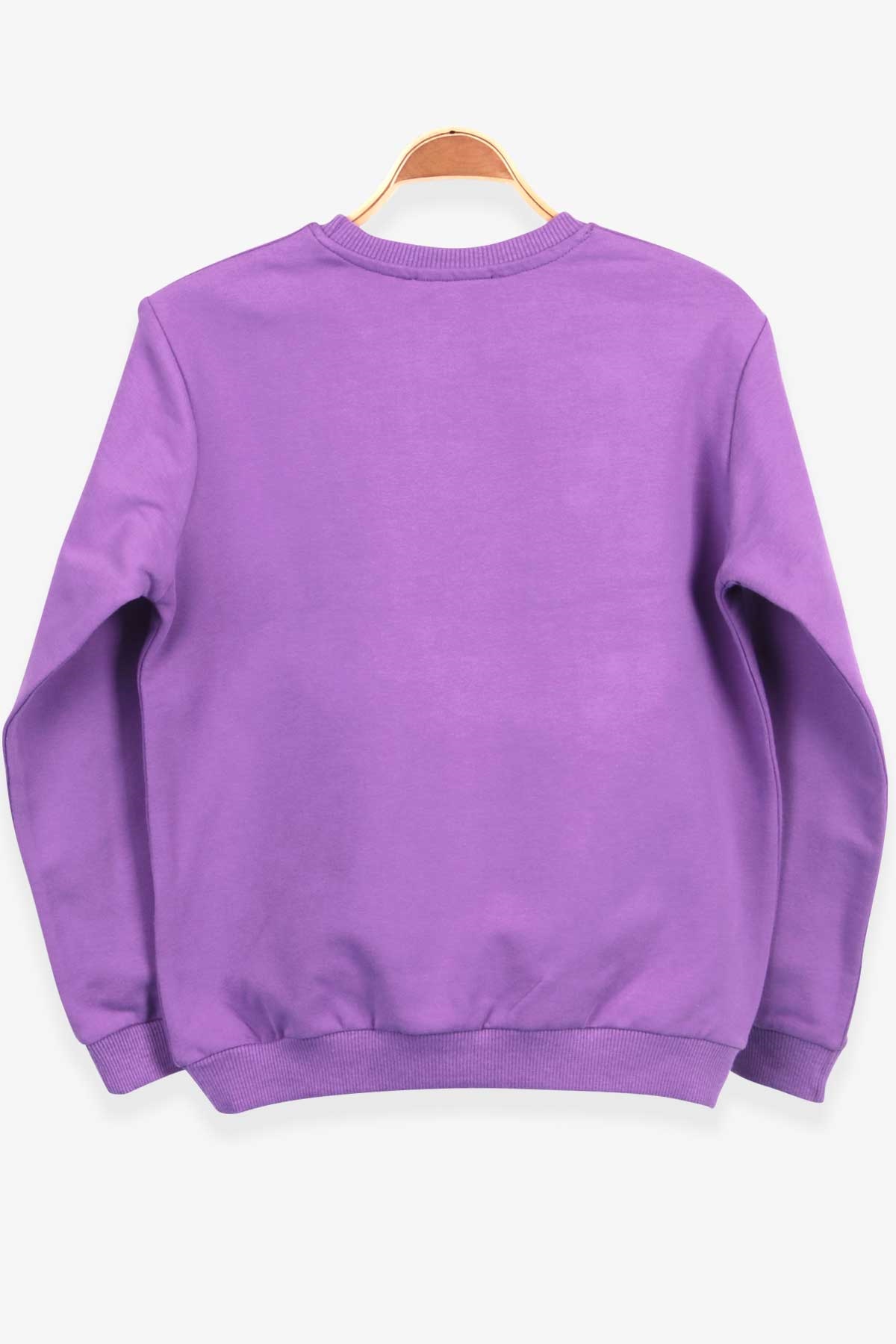Breeze Kız Çocuk Sweatshirt Baskılı Taşlı Mor (8-12 Yaş)