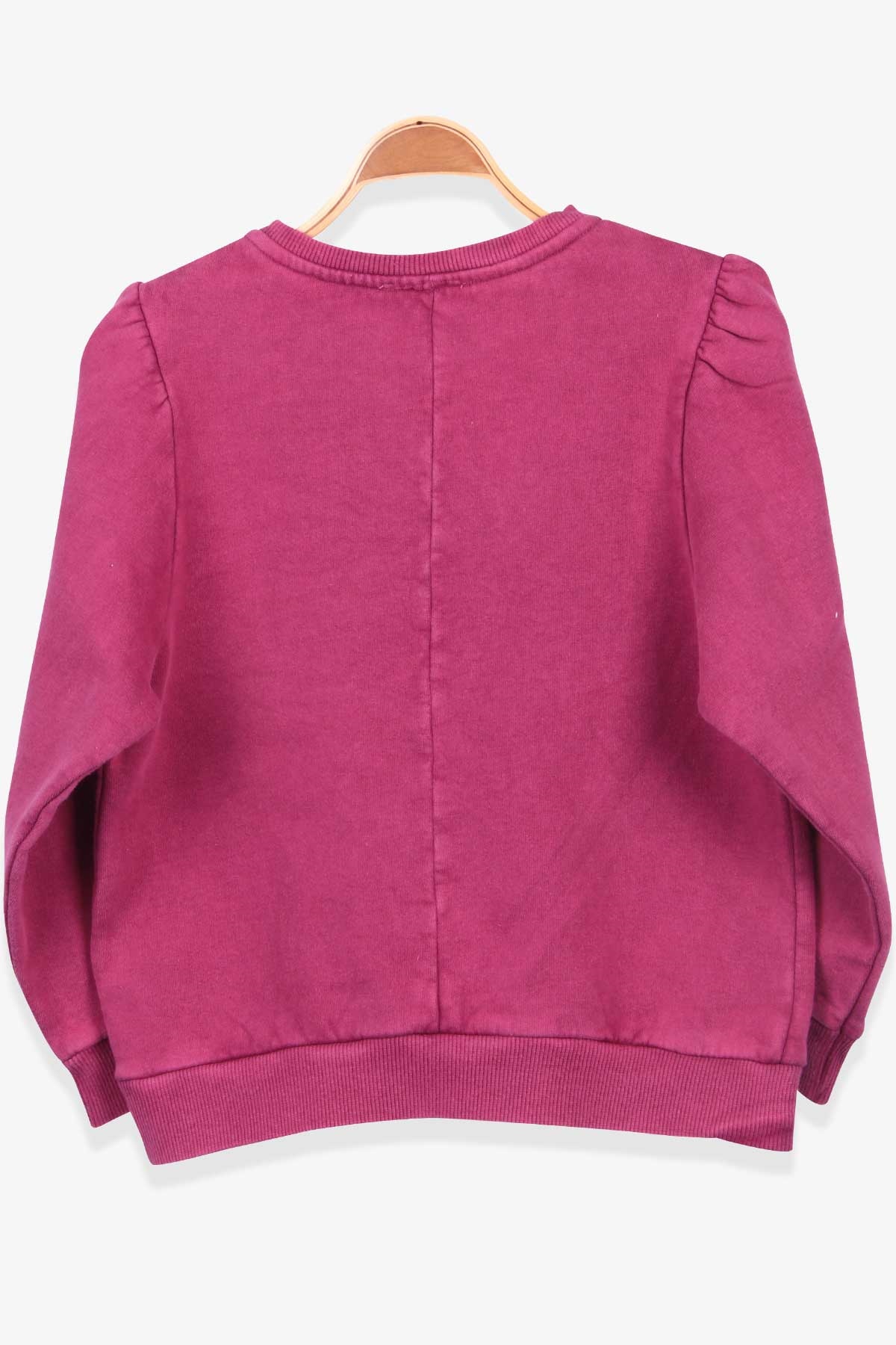 Breeze Kız Çocuk Sweatshirt Baskılı Taşlı Vişne Çürüğü (6-14 Yaş)