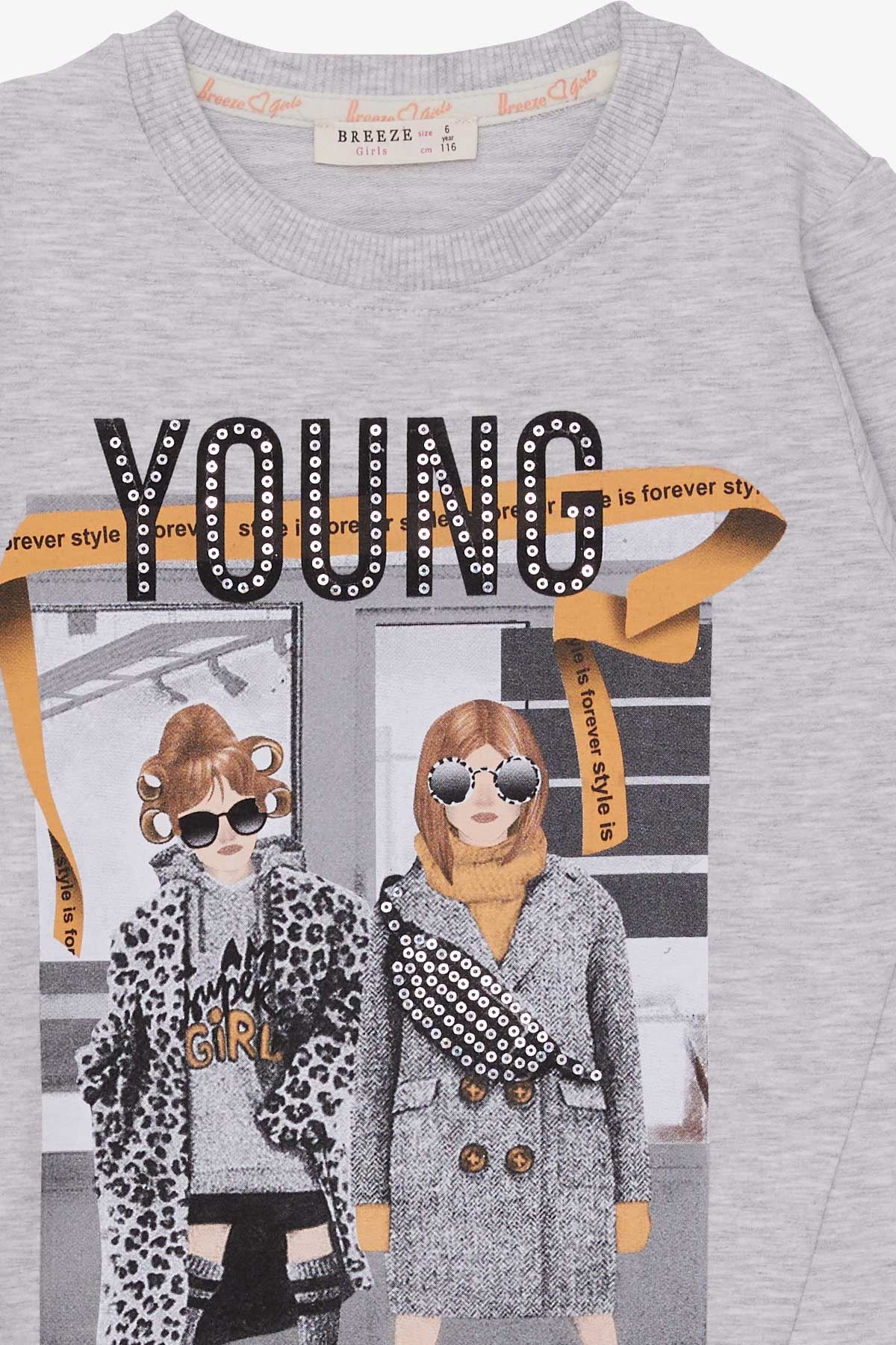 Breeze Kız Çocuk Sweatshirt Dostluk Temalı Açık Gri Melanj (6-12 Yaş)