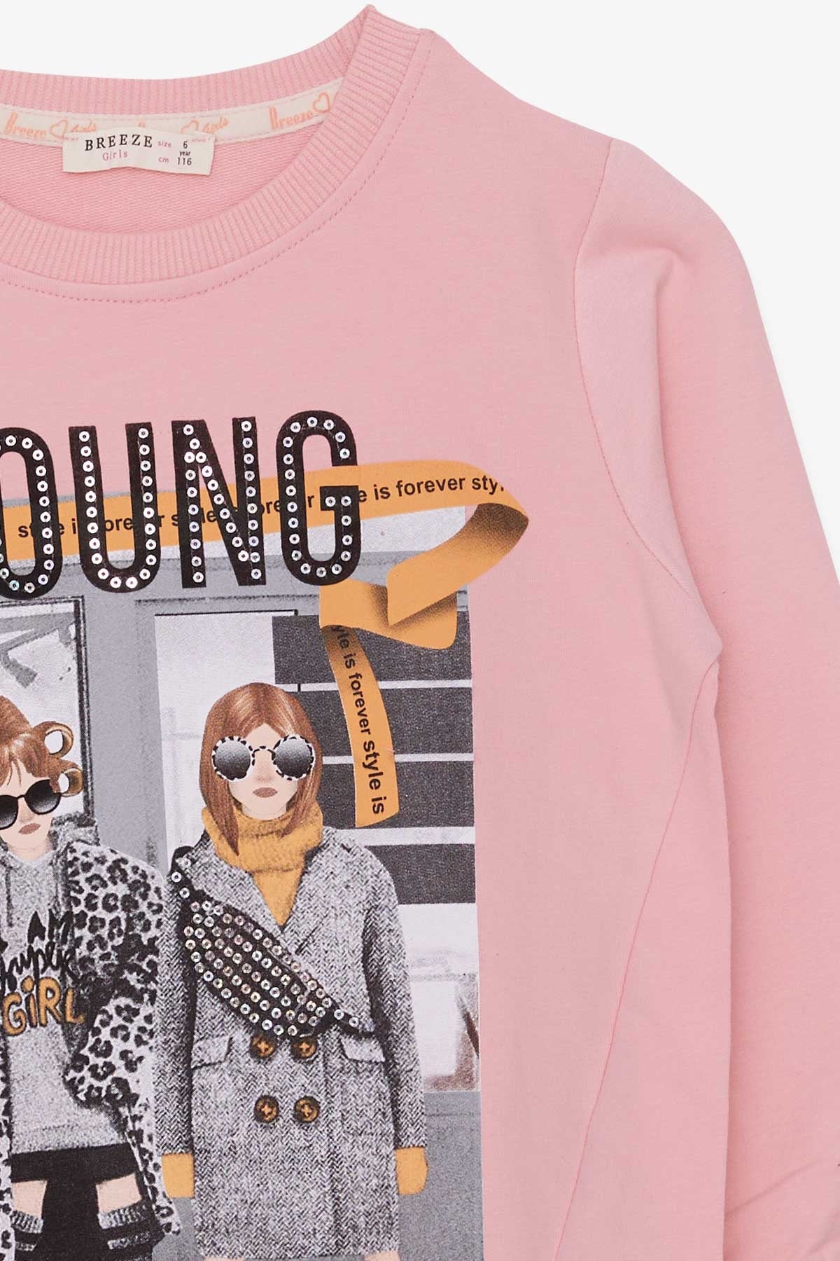 Breeze Kız Çocuk Sweatshirt Dostluk Temalı Pudra (6-12 Yaş)