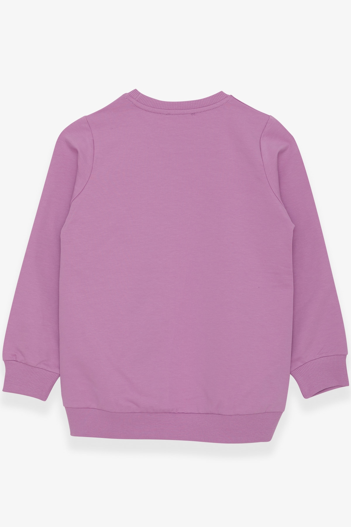 Breeze Kız Çocuk Sweatshirt Dostluk Temalı Eflatun (6-12 Yaş)