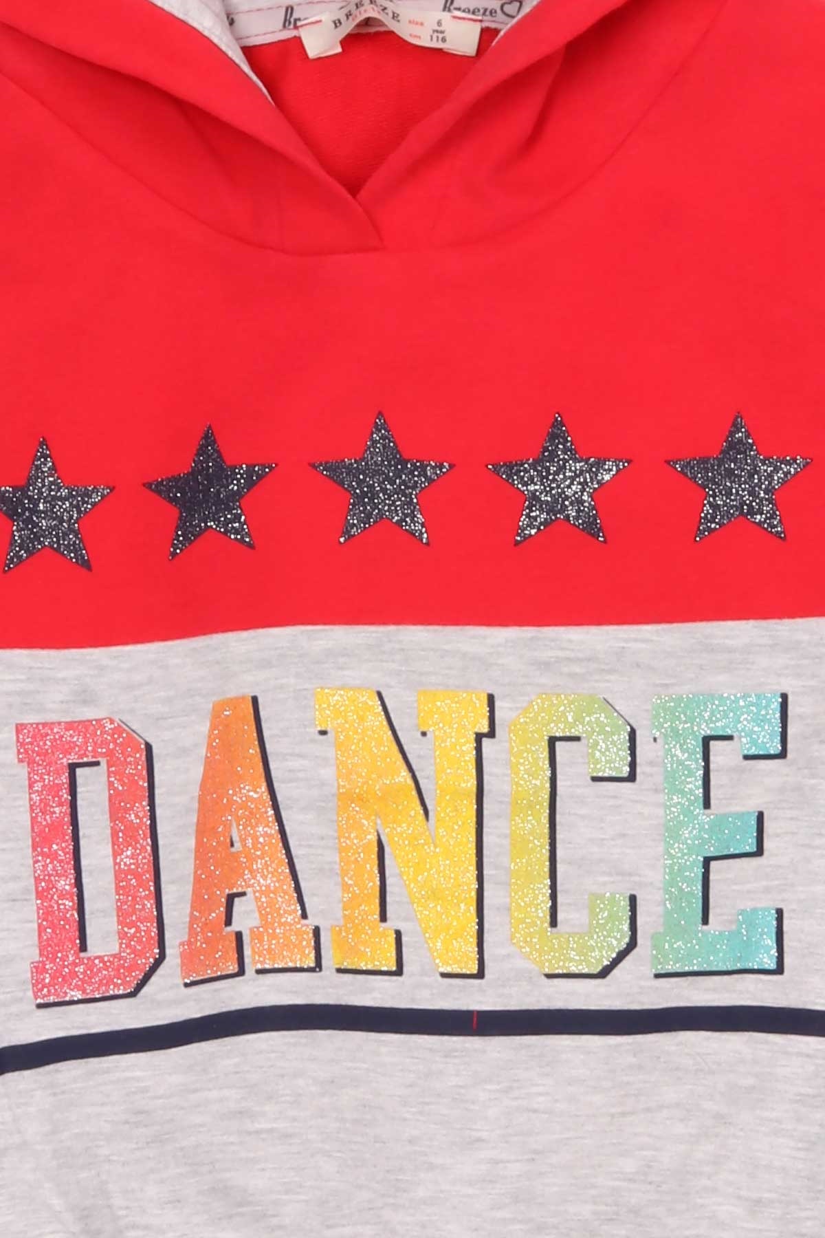 Breeze Kız Çocuk Sweatshirt Göbek Üstü Baskılı Narçiçeği (6-12 Yaş)