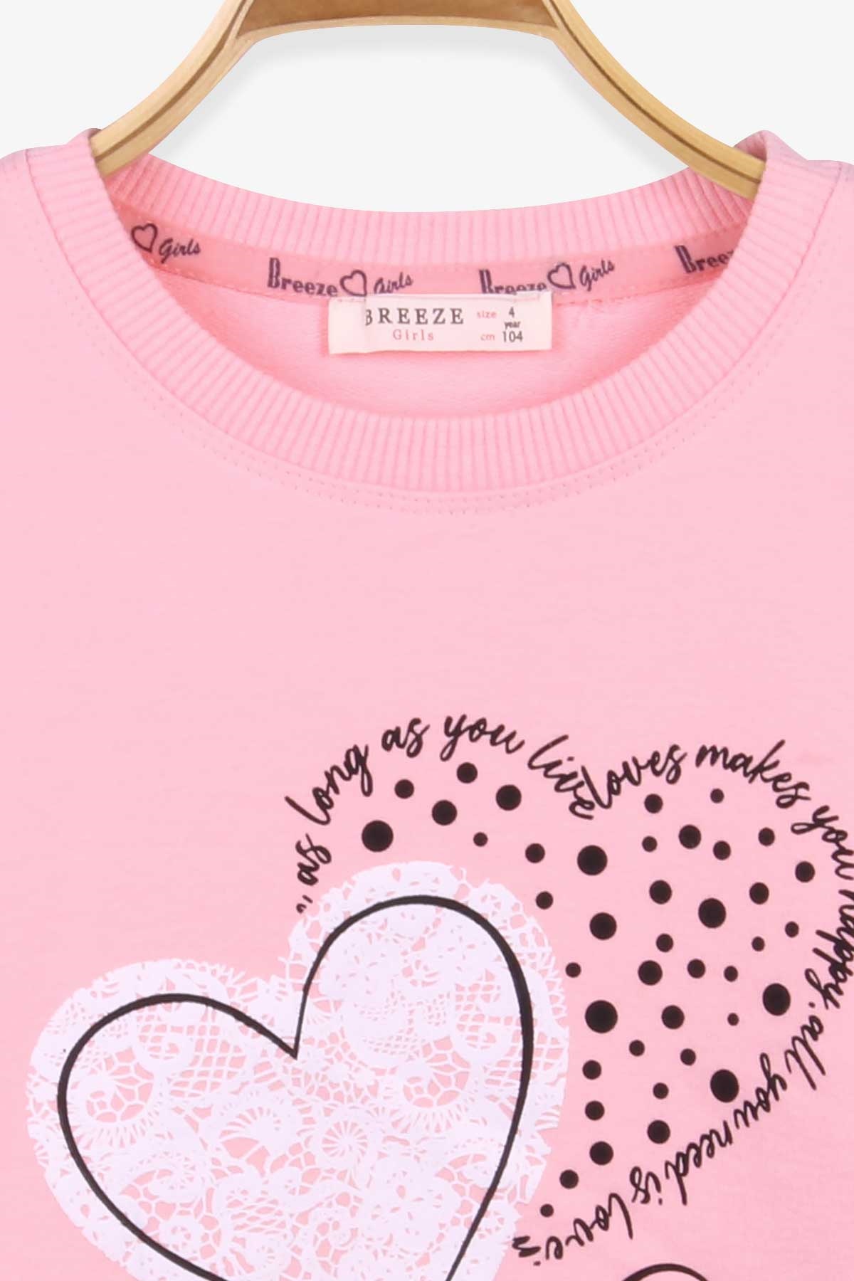 Breeze Kız Çocuk Sweatshirt Kalp Baskılı Pudra (4-9 Yaş)