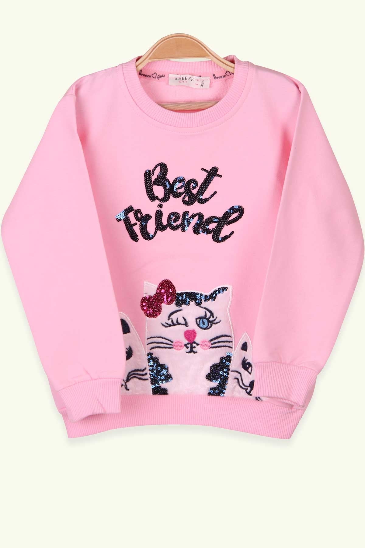 Breeze Kız Çocuk Sweatshirt Kedi Nakışlı Pullu Pudra (3-8 Yaş)