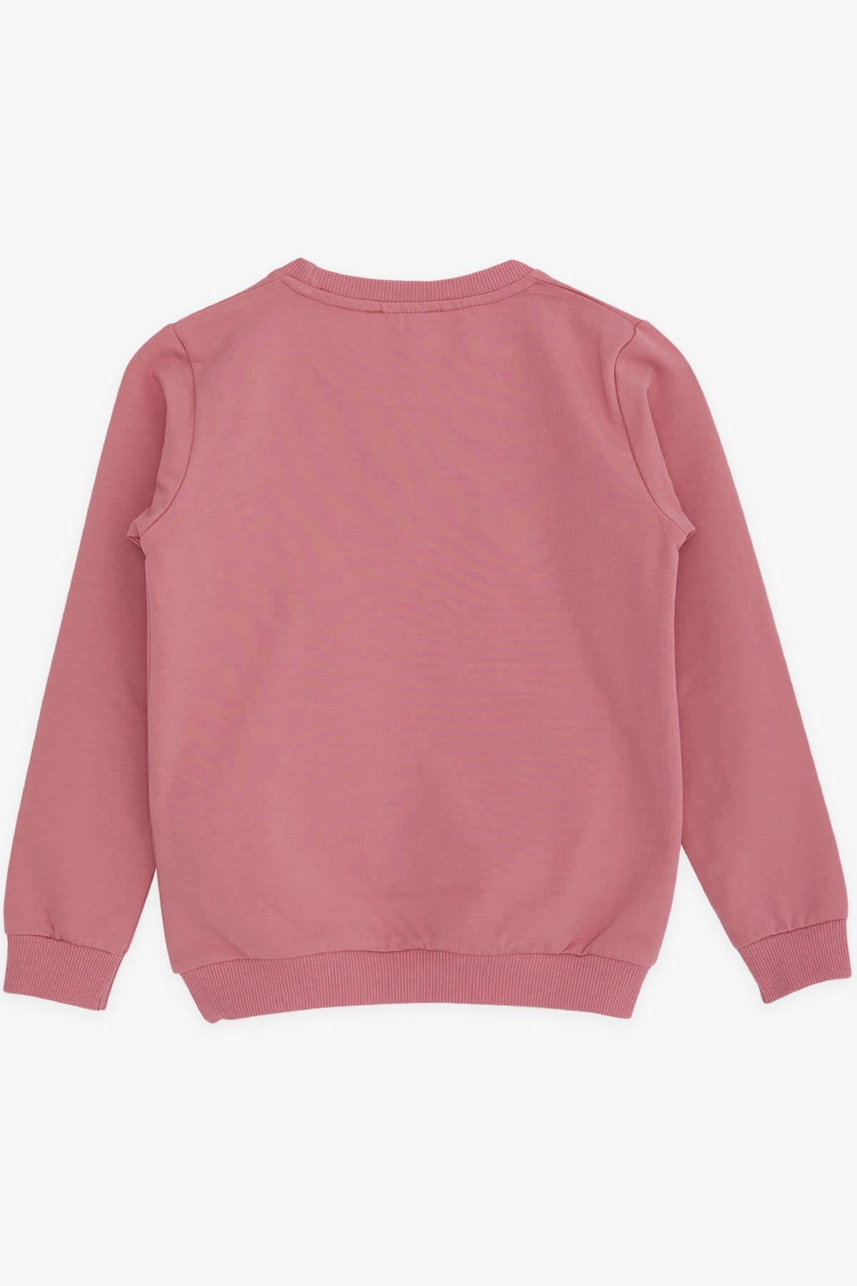 Breeze Kız Çocuk Sweatshirt Kız Baskılı Pullu Gülkurusu (8-14 Yaş)