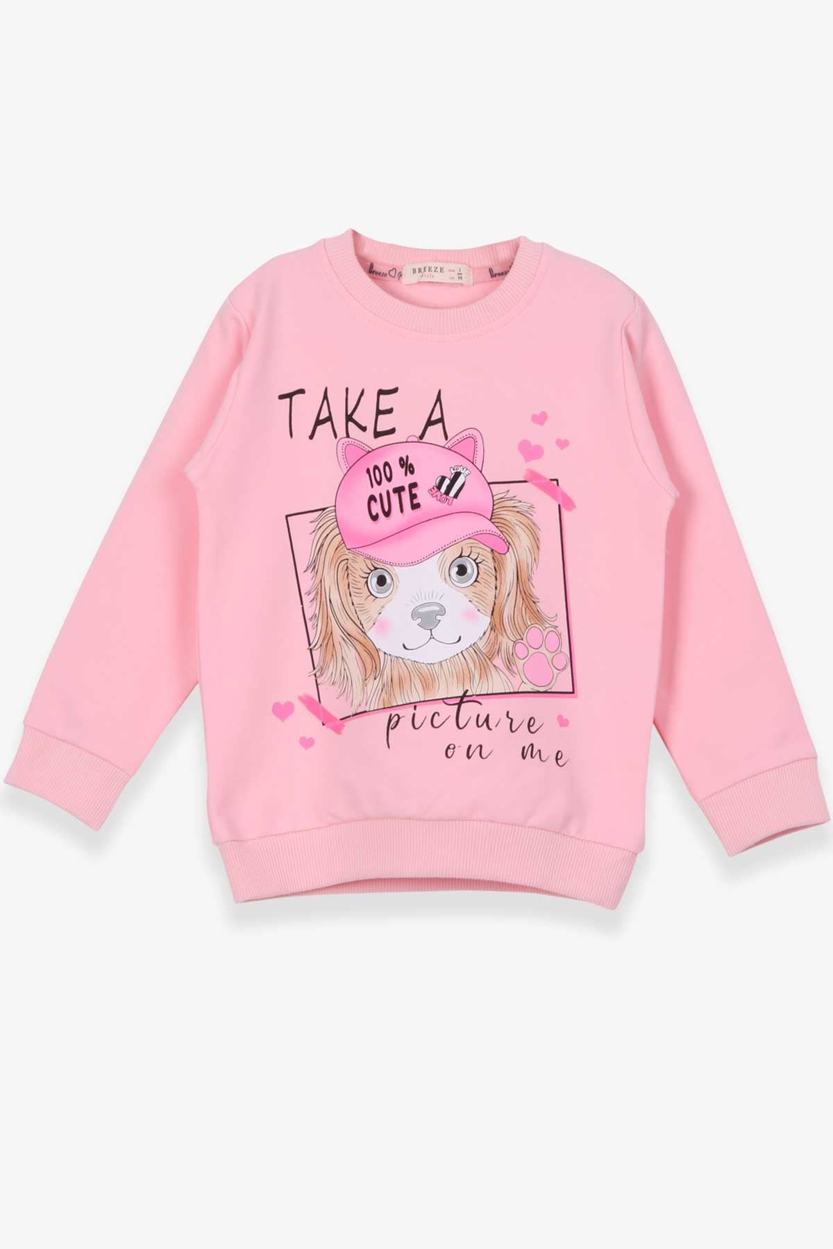 Breeze Kız Çocuk Sweatshirt Köpekcik Baskılı Pudra (3-7 Yaş)