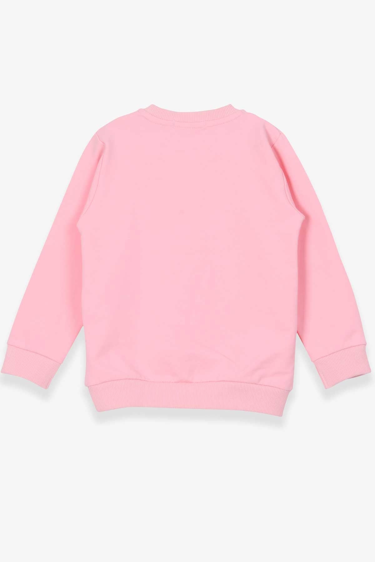 Breeze Kız Çocuk Sweatshirt Köpekcik Baskılı Pudra (3-7 Yaş)
