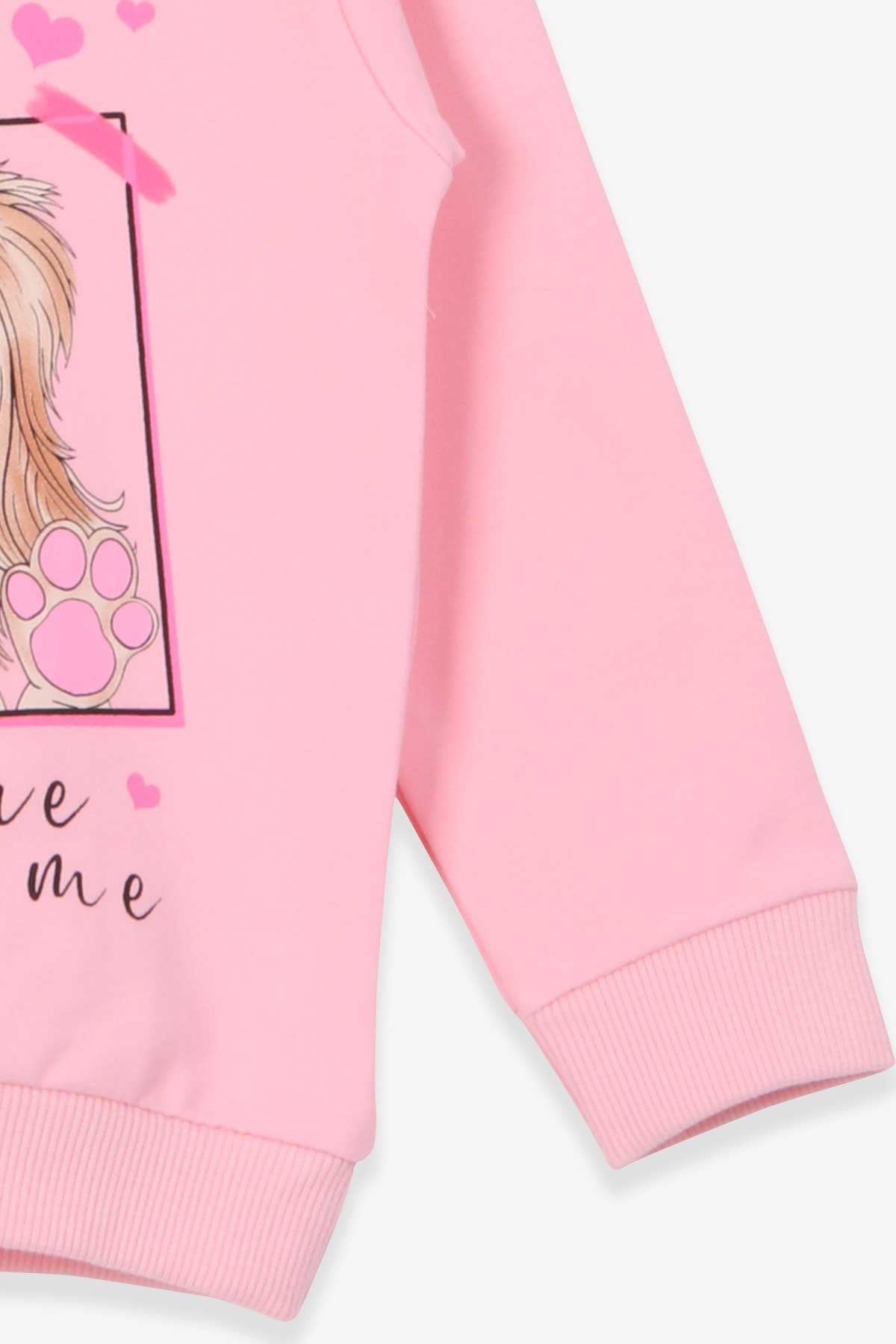 Breeze Kız Çocuk Sweatshirt Köpekcik Baskılı Pudra (3-7 Yaş)