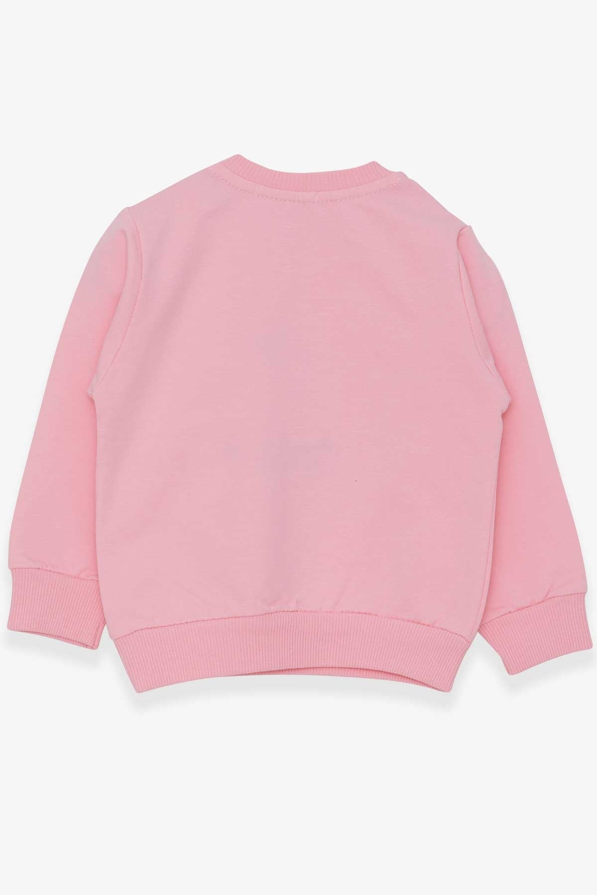 Breeze Kız Çocuk Sweatshirt Nakışlı Pullu Pudra (1-4 Yaş)