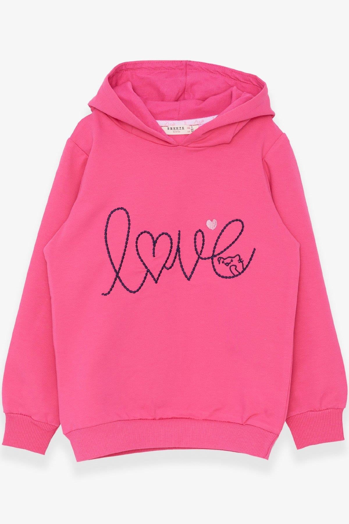 Breeze Kız Çocuk Sweatshirt Nakışlı Yazı Baskılı Pembe (2-5 Yaş)