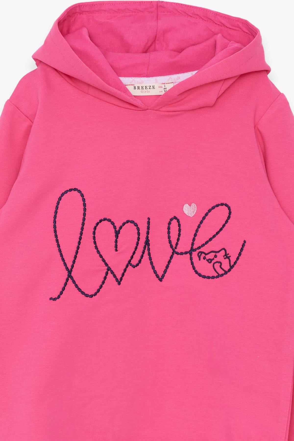 Breeze Kız Çocuk Sweatshirt Nakışlı Yazı Baskılı Pembe (2-5 Yaş)