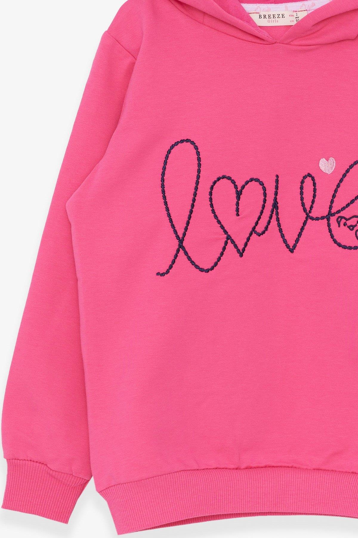 Breeze Kız Çocuk Sweatshirt Nakışlı Yazı Baskılı Pembe (2-5 Yaş)