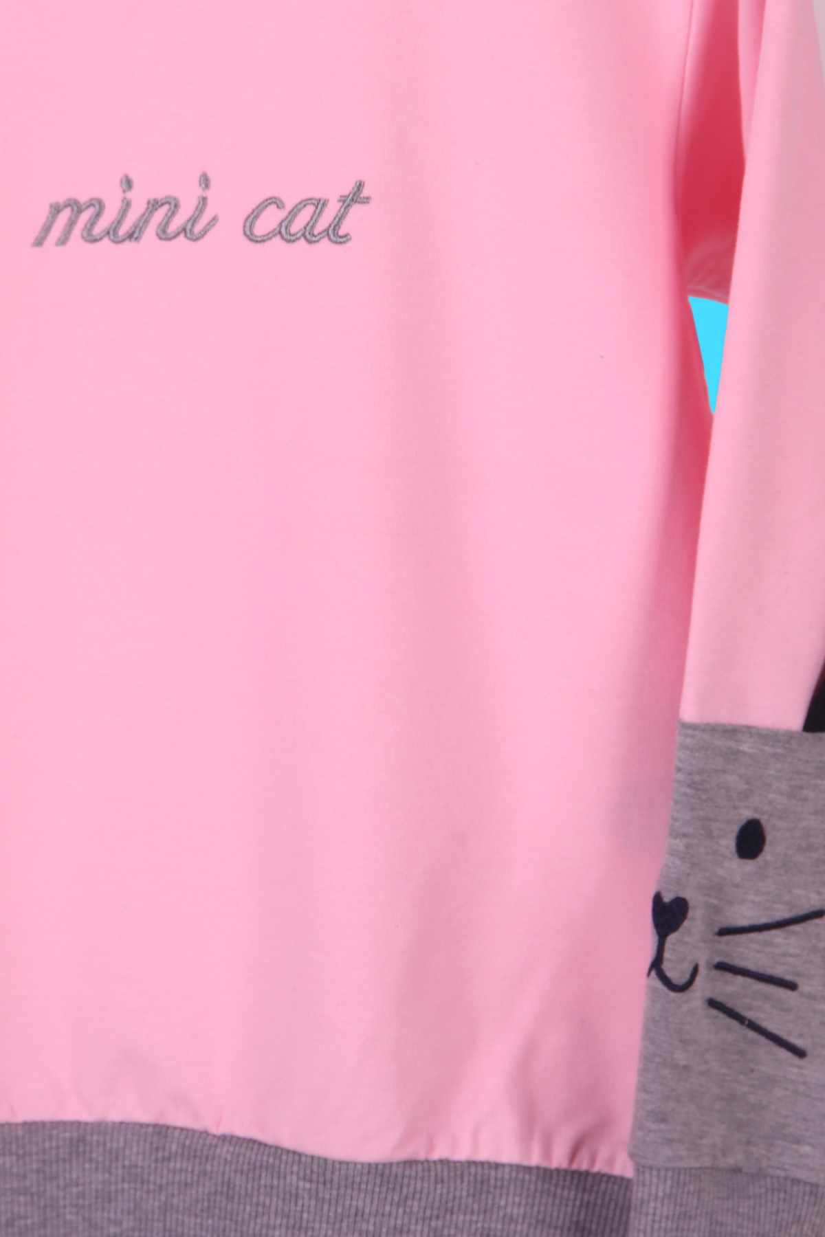 Breeze Kız Çocuk Sweatshirt Ön Kolları Nakışlı Pudra (6-12 Yaş)