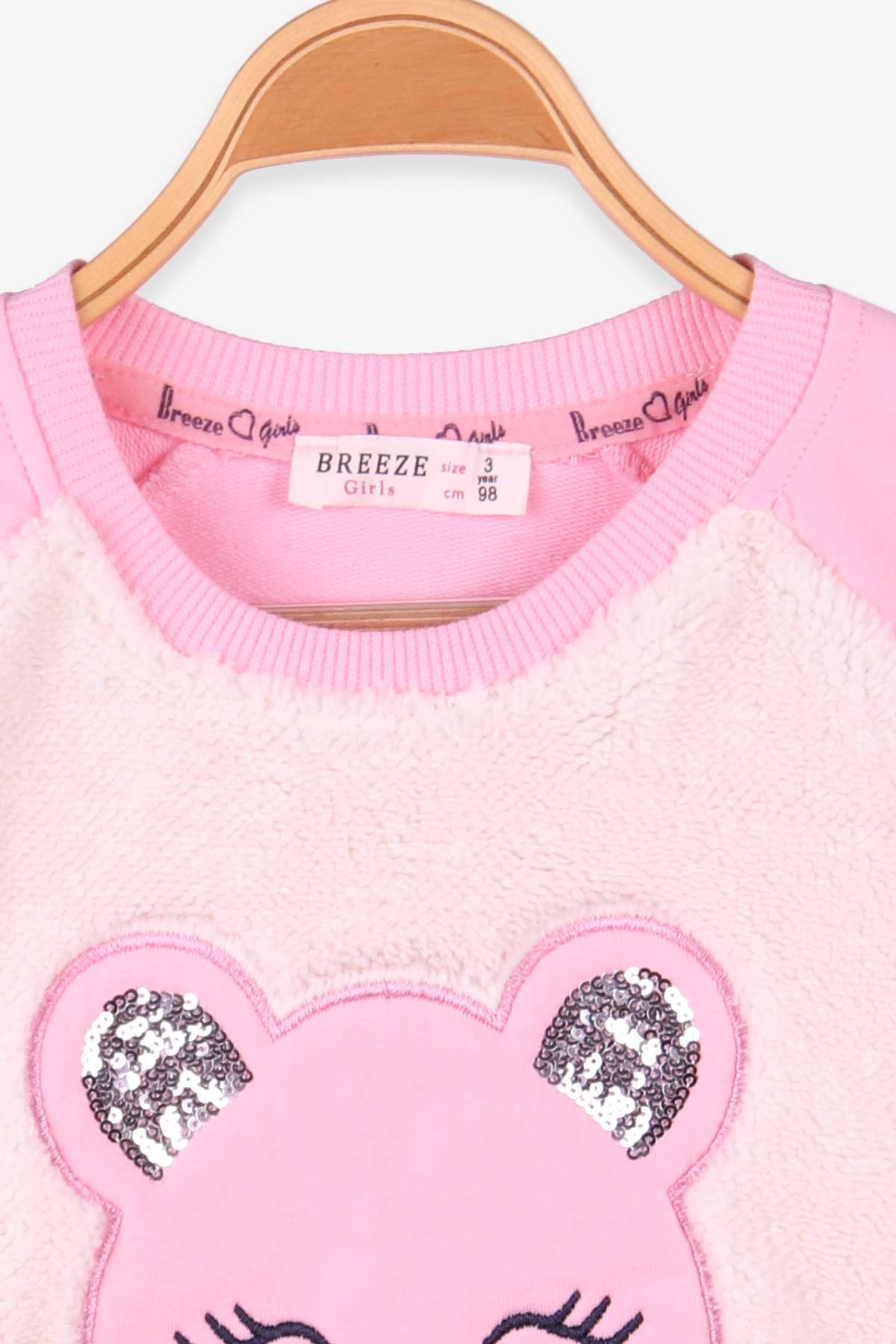 Breeze Kız Çocuk Sweatshirt Peluşlu Ayıcıklı Pudra (3-7 Yaş)