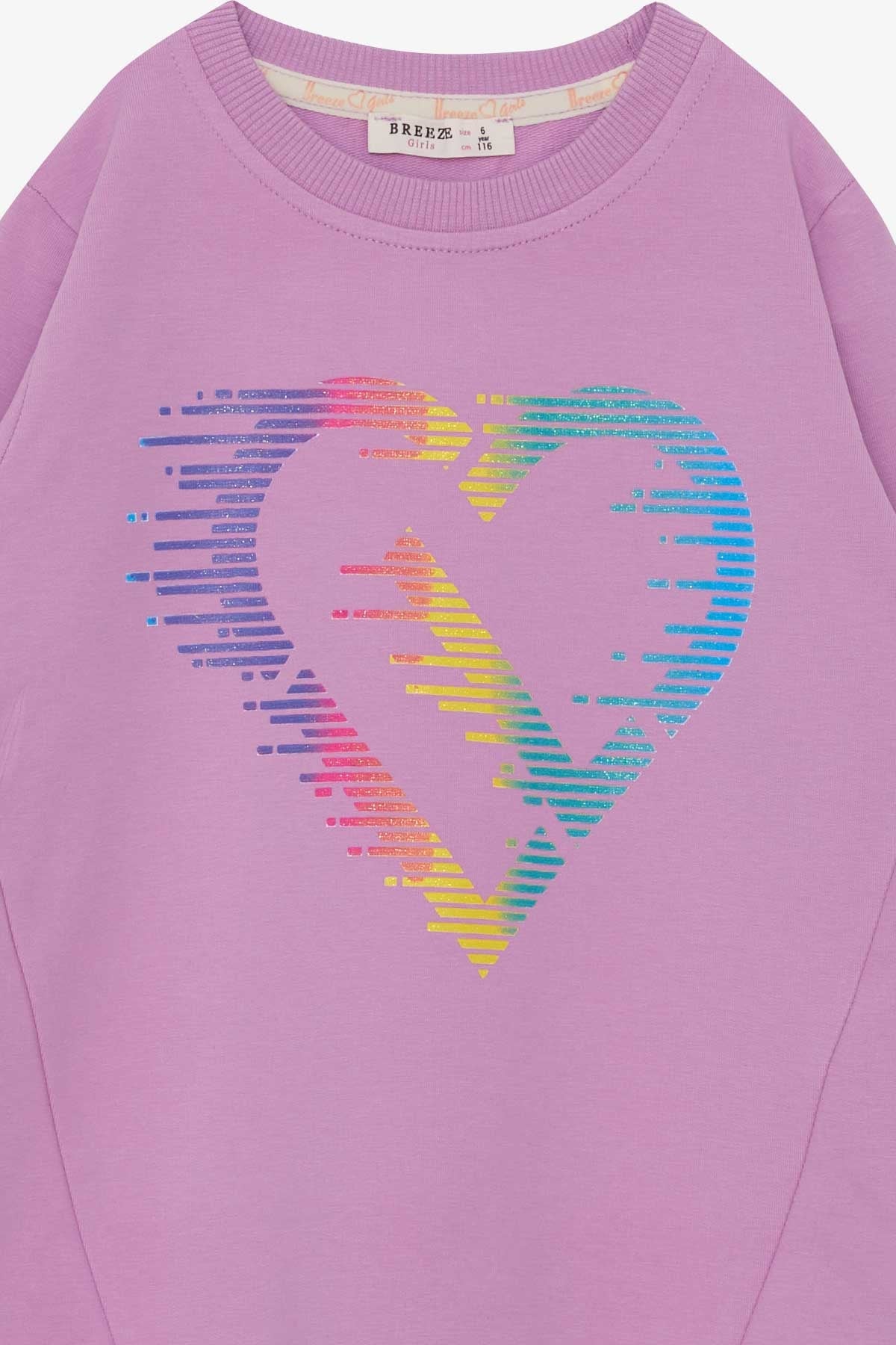 Breeze Kız Çocuk Sweatshirt Renkli Simli Kalp Baskılı Eflatun (6-12 Yaş)
