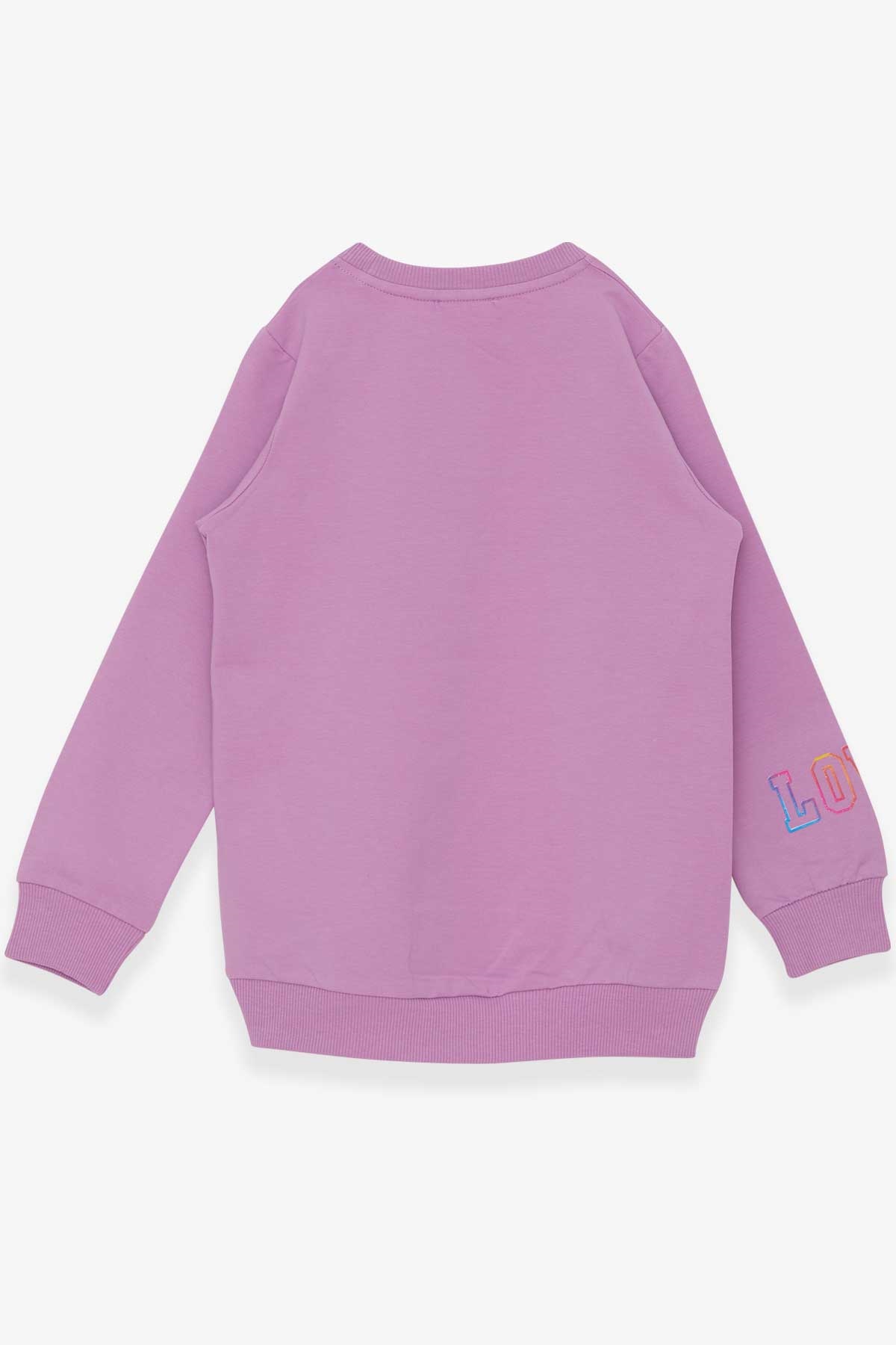 Breeze Kız Çocuk Sweatshirt Renkli Simli Kalp Baskılı Eflatun (6-12 Yaş)