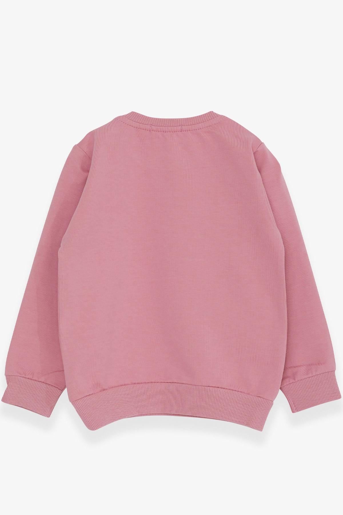 Breeze Kız Çocuk Sweatshirt Sevimli Kız Baskılı Gülkurusu (1.5-5 Yaş)