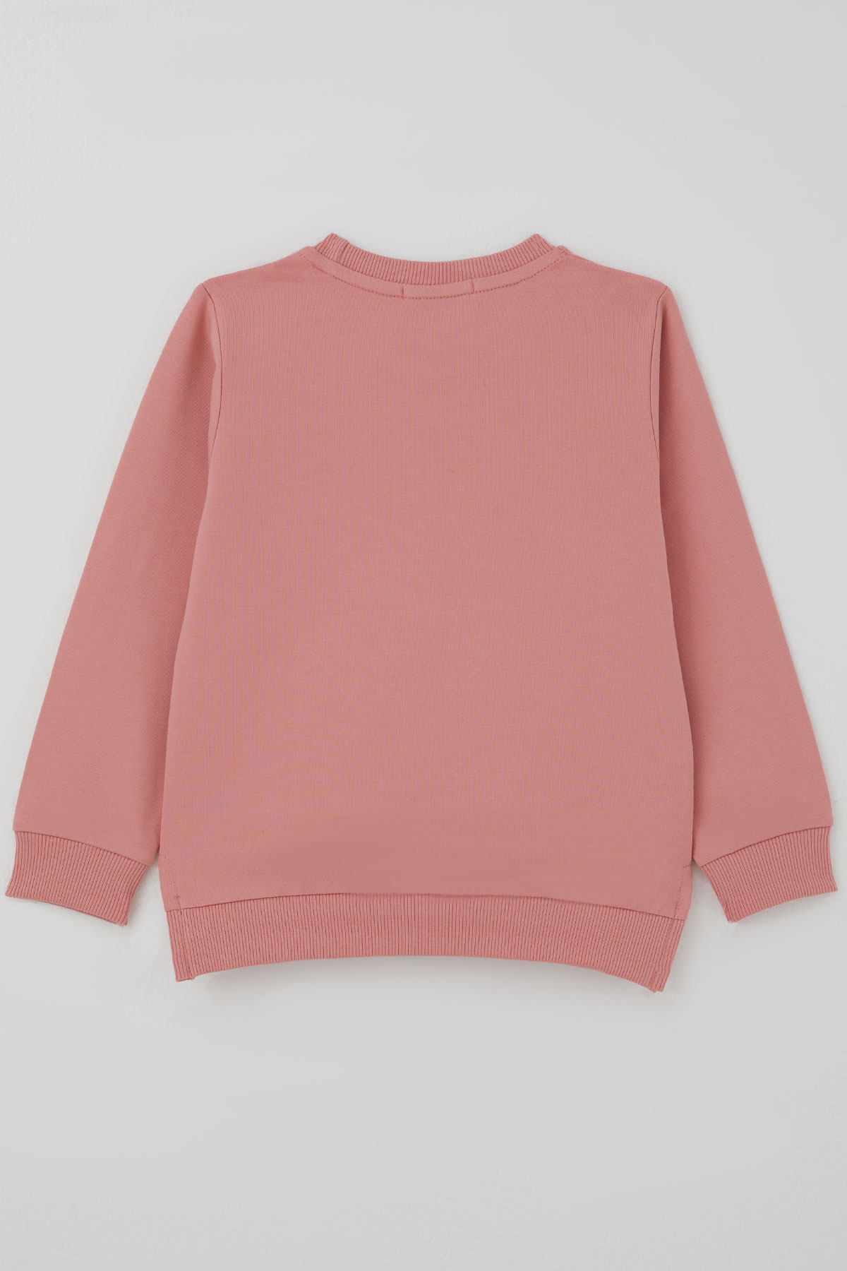 Breeze Kız Çocuk Sweatshirt Sevimli Köpekçik Baskılı Fiyonklu Yazı Baskılı Gülkurusu (3-8 Yaş)