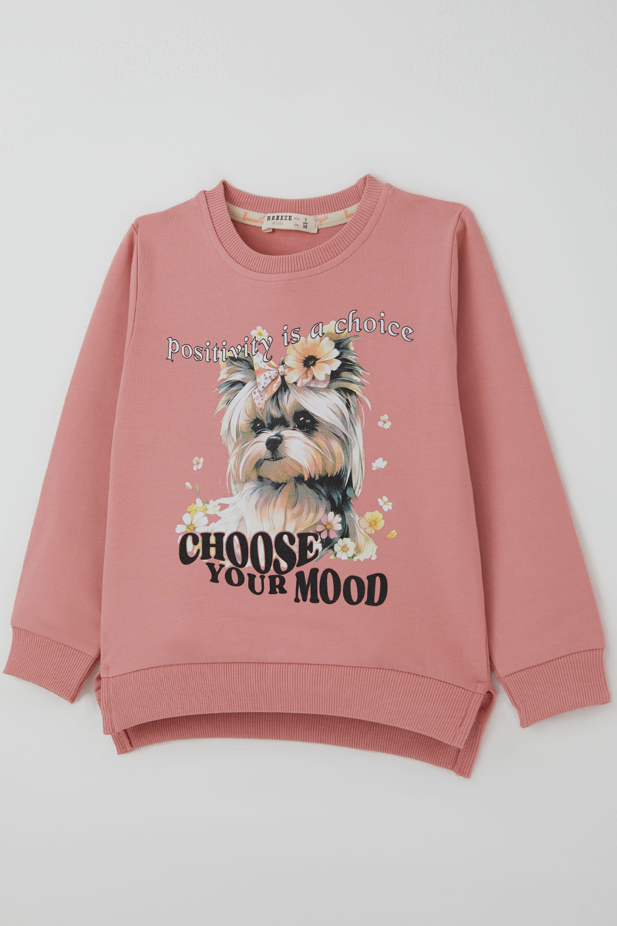 Breeze Kız Çocuk Sweatshirt Sevimli Köpekçik Baskılı Fiyonklu Yazı Baskılı Gülkurusu (3-8 Yaş)