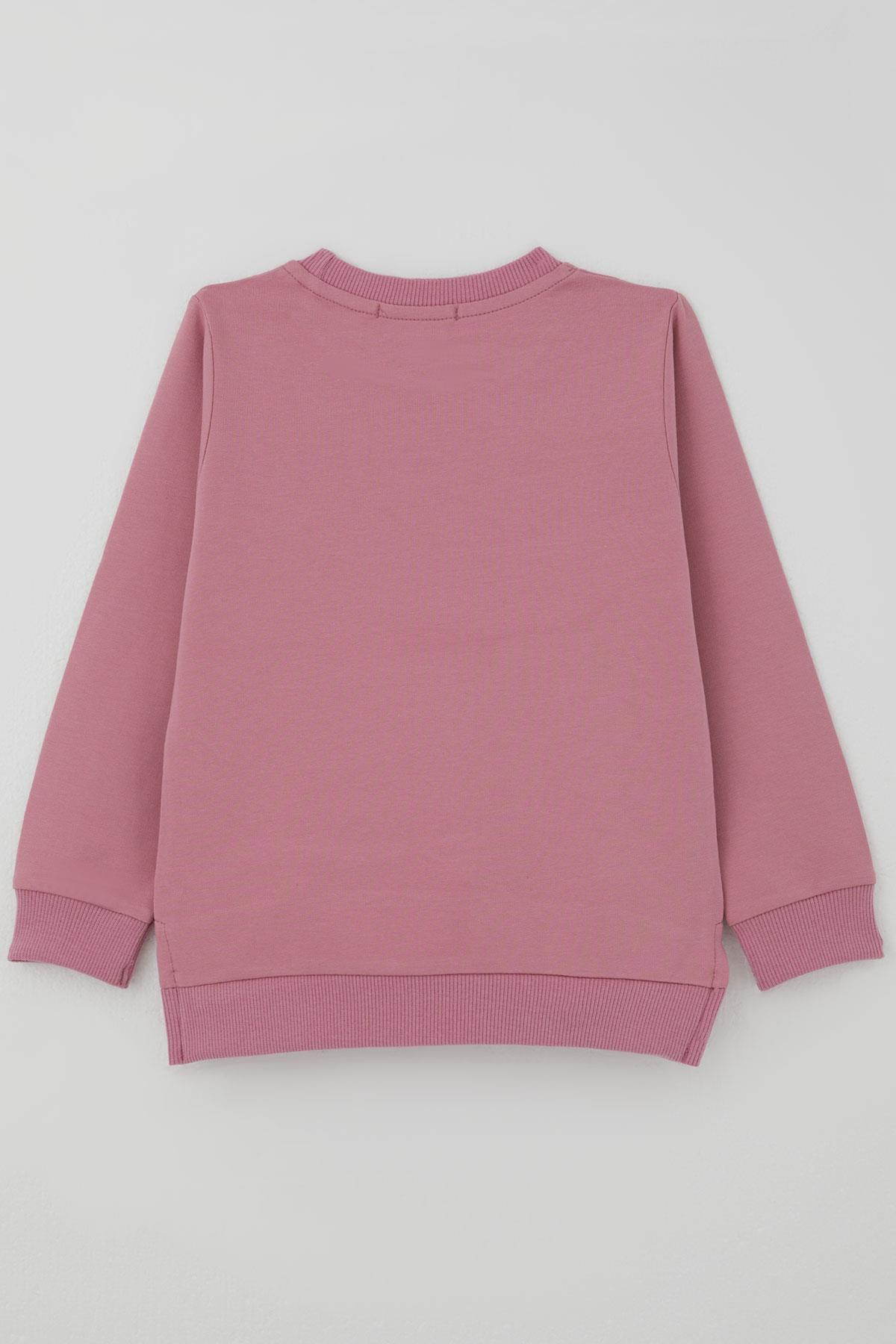 Breeze Kız Çocuk Sweatshirt Sevimli Köpekçik Baskılı Fiyonklu Yazı Baskılı Gülkurusu (3-8 Yaş)