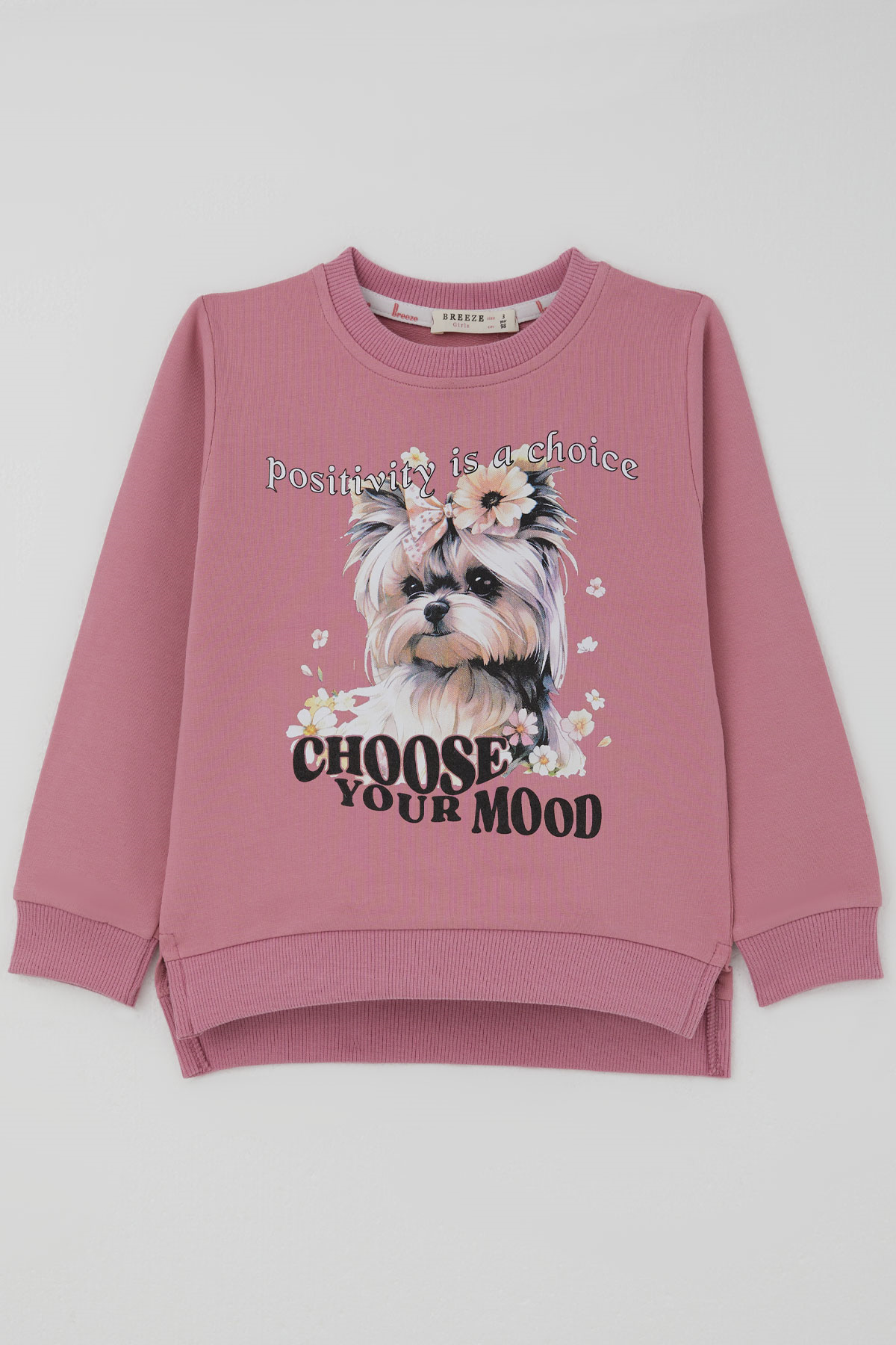 Breeze Kız Çocuk Sweatshirt Sevimli Köpekçik Baskılı Fiyonklu Yazı Baskılı Gülkurusu (3-8 Yaş)