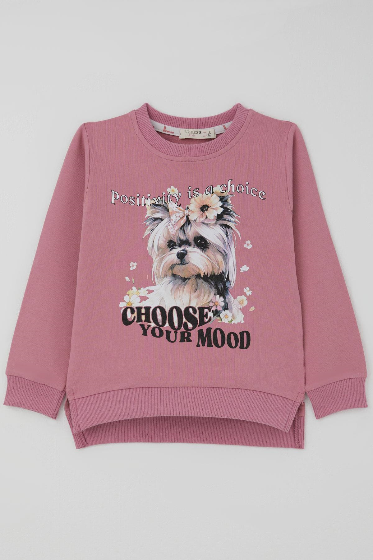 Breeze Kız Çocuk Sweatshirt Sevimli Köpekçik Baskılı Fiyonklu Yazı Baskılı Gülkurusu (3-8 Yaş)