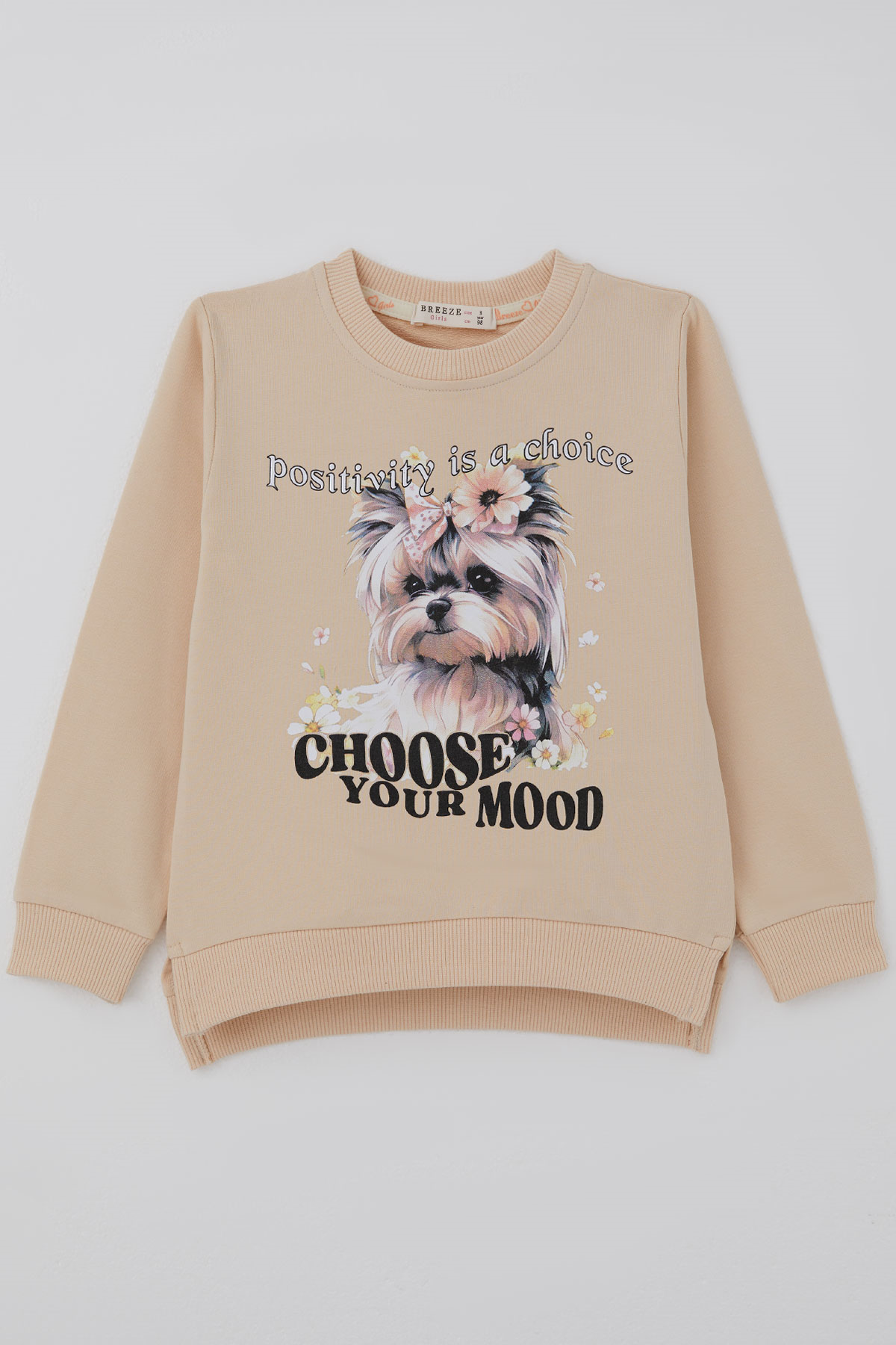 Breeze Kız Çocuk Sweatshirt Sevimli Köpekçik Baskılı Fiyonklu Yazı Baskılı Bej (3-8 Yaş)