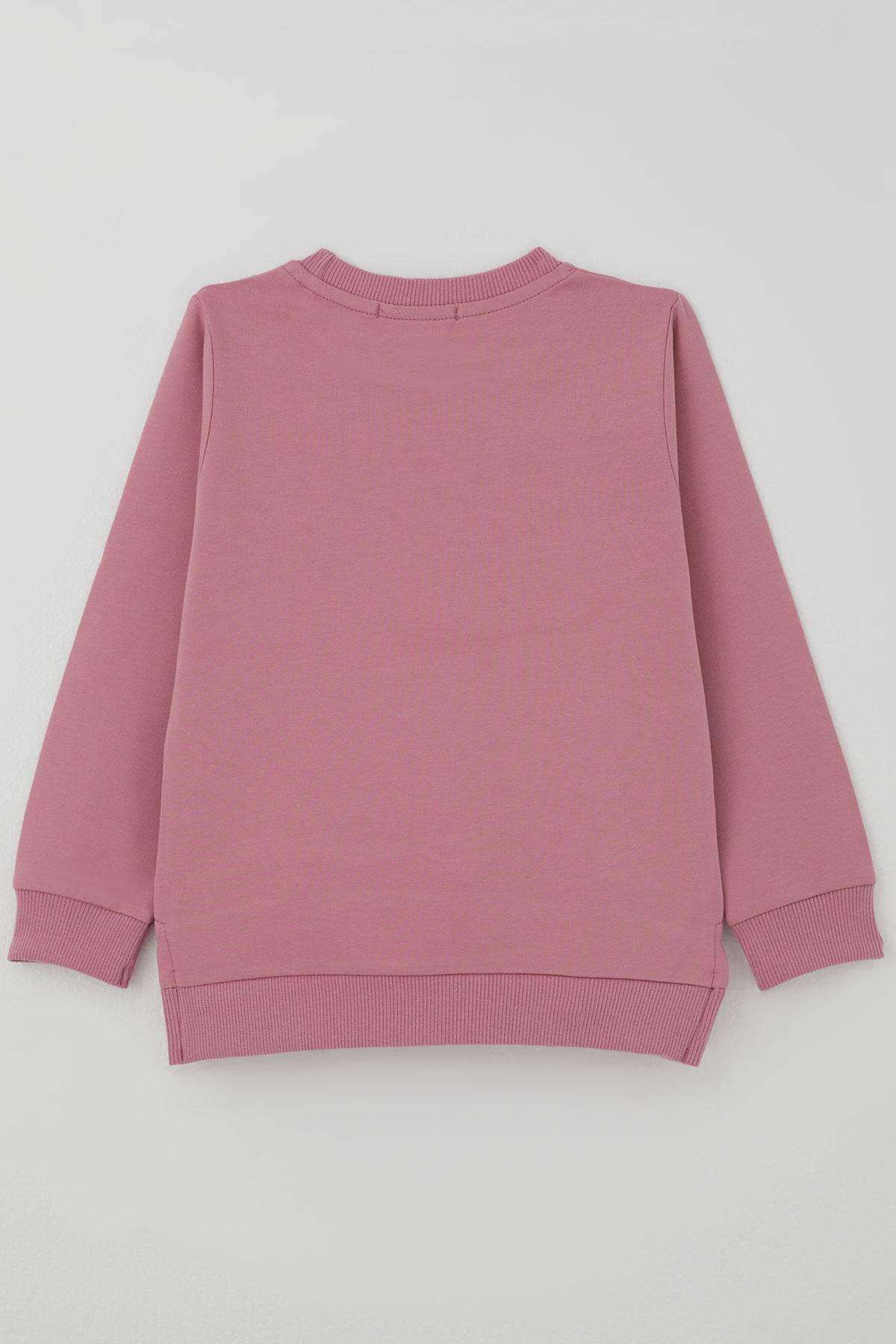 Breeze Kız Çocuk Sweatshirt Sevimli Köpekçik Baskılı Fiyonklu Yazı Baskılı Gülkurusu (3-8 Yaş)