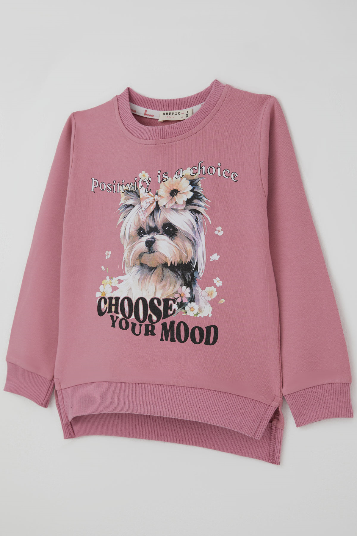 Breeze Kız Çocuk Sweatshirt Sevimli Köpekçik Baskılı Fiyonklu Yazı Baskılı Gülkurusu (3-8 Yaş)