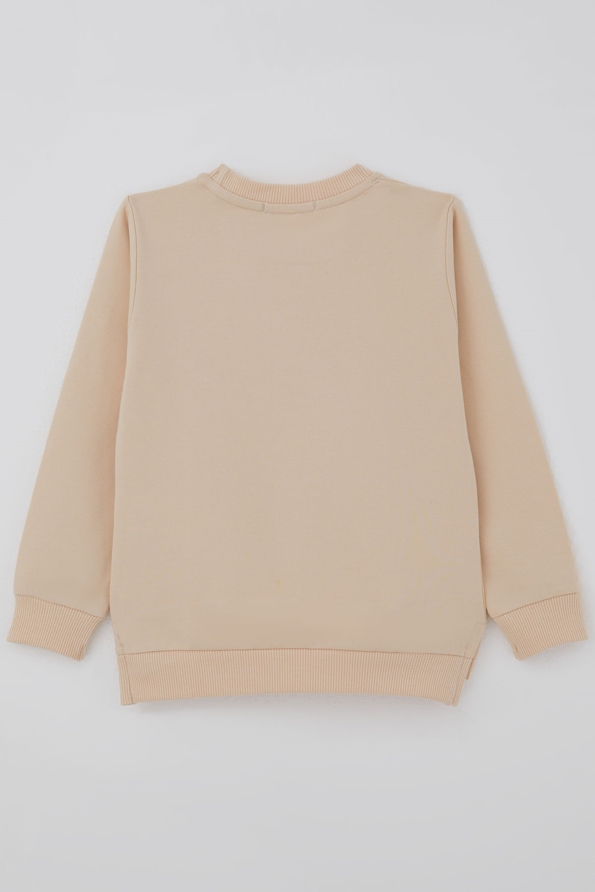 Breeze Kız Çocuk Sweatshirt Sevimli Köpekçik Baskılı Fiyonklu Yazı Baskılı Bej (3-8 Yaş)