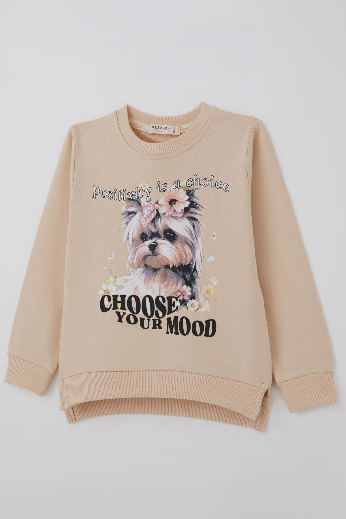 Breeze Kız Çocuk Sweatshirt Sevimli Köpekçik Baskılı Fiyonklu Yazı Baskılı Bej (3-8 Yaş)