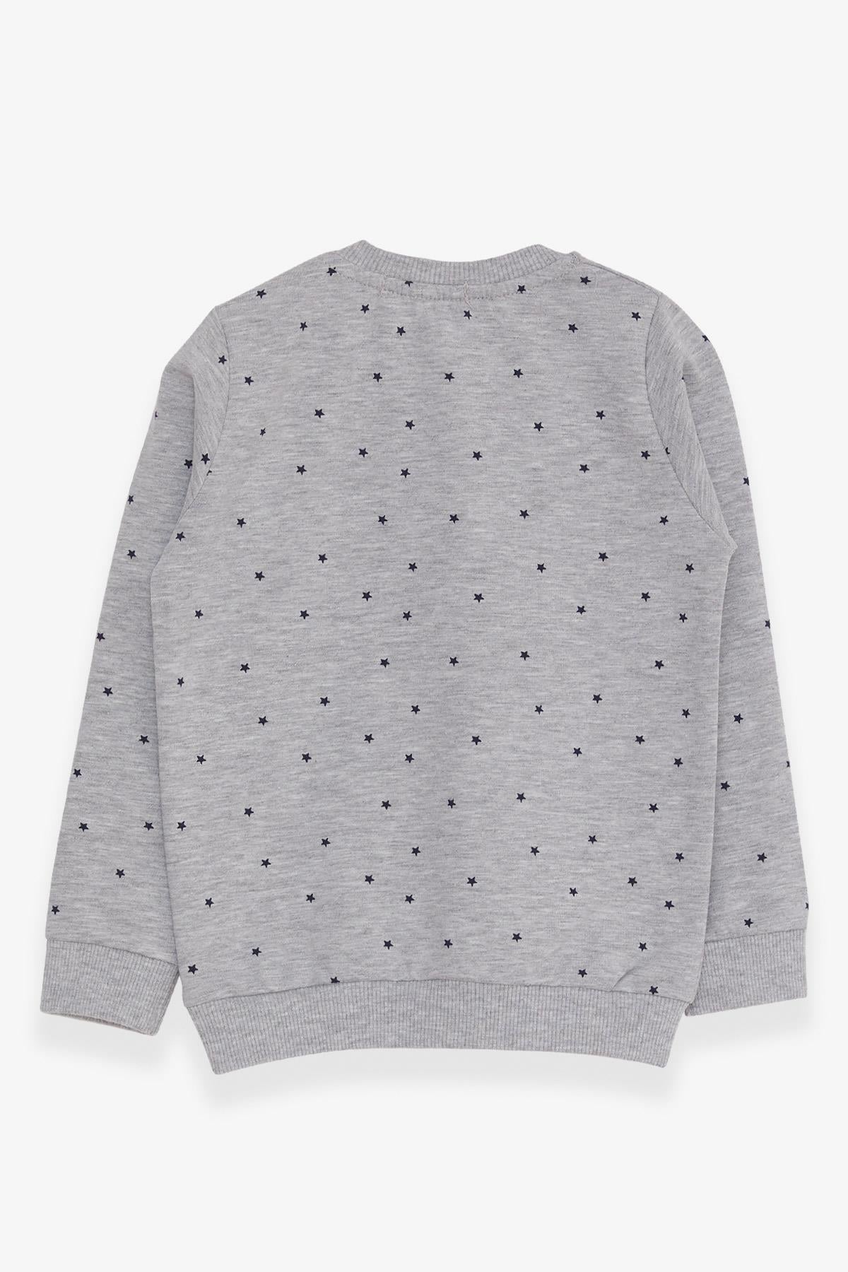 Breeze Kız Çocuk Sweatshirt Simli Kalp Baskılı Gri Melanj (2-6 Yaş)
