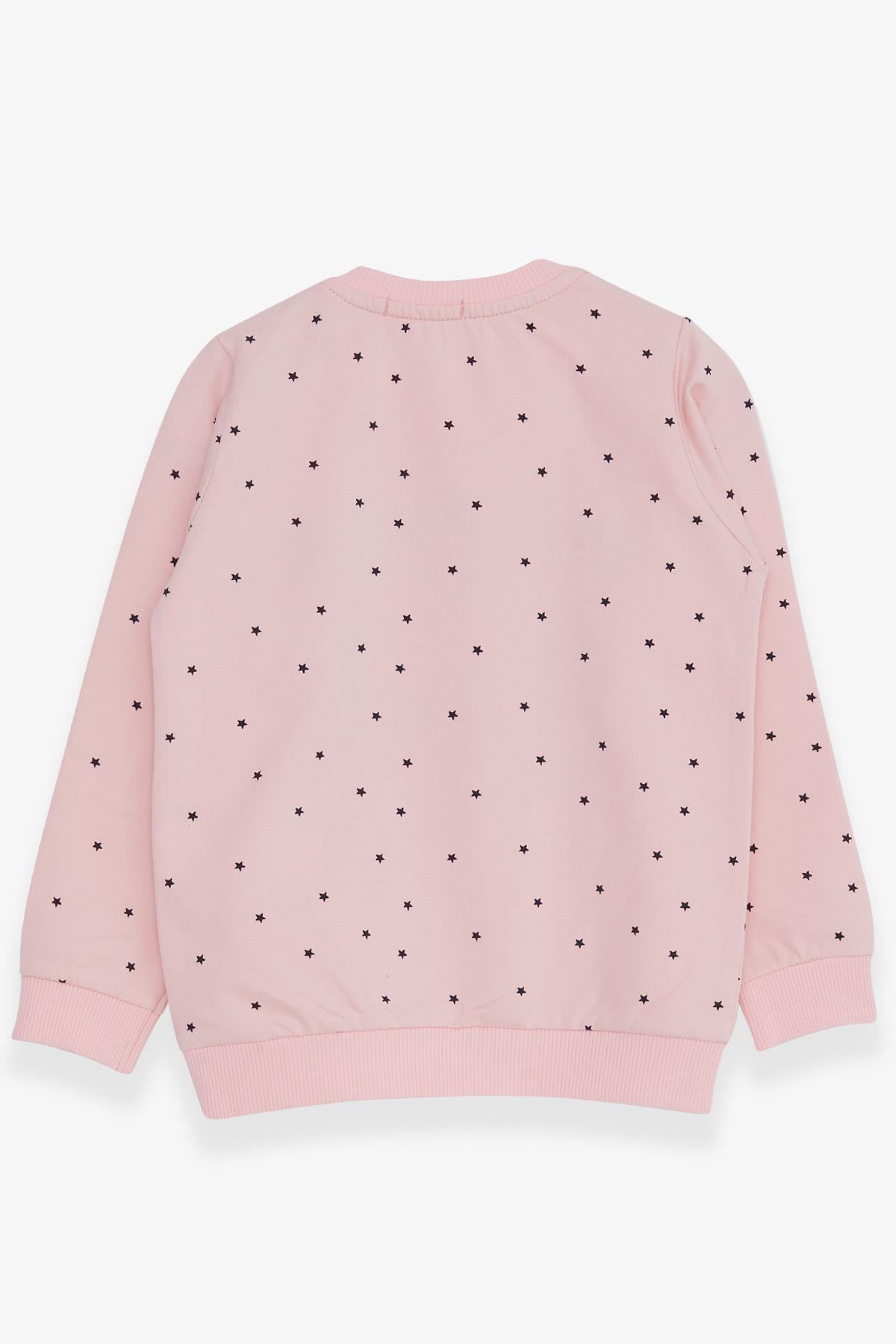 Breeze Kız Çocuk Sweatshirt Simli Kalp Baskılı Pembe (2-6 Yaş)