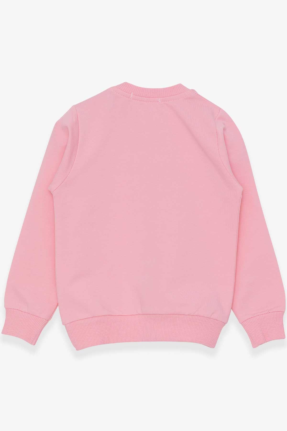 Breeze Kız Çocuk Sweatshirt Simli Kedicik Baskılı Pudra (1.5-4 Yaş)