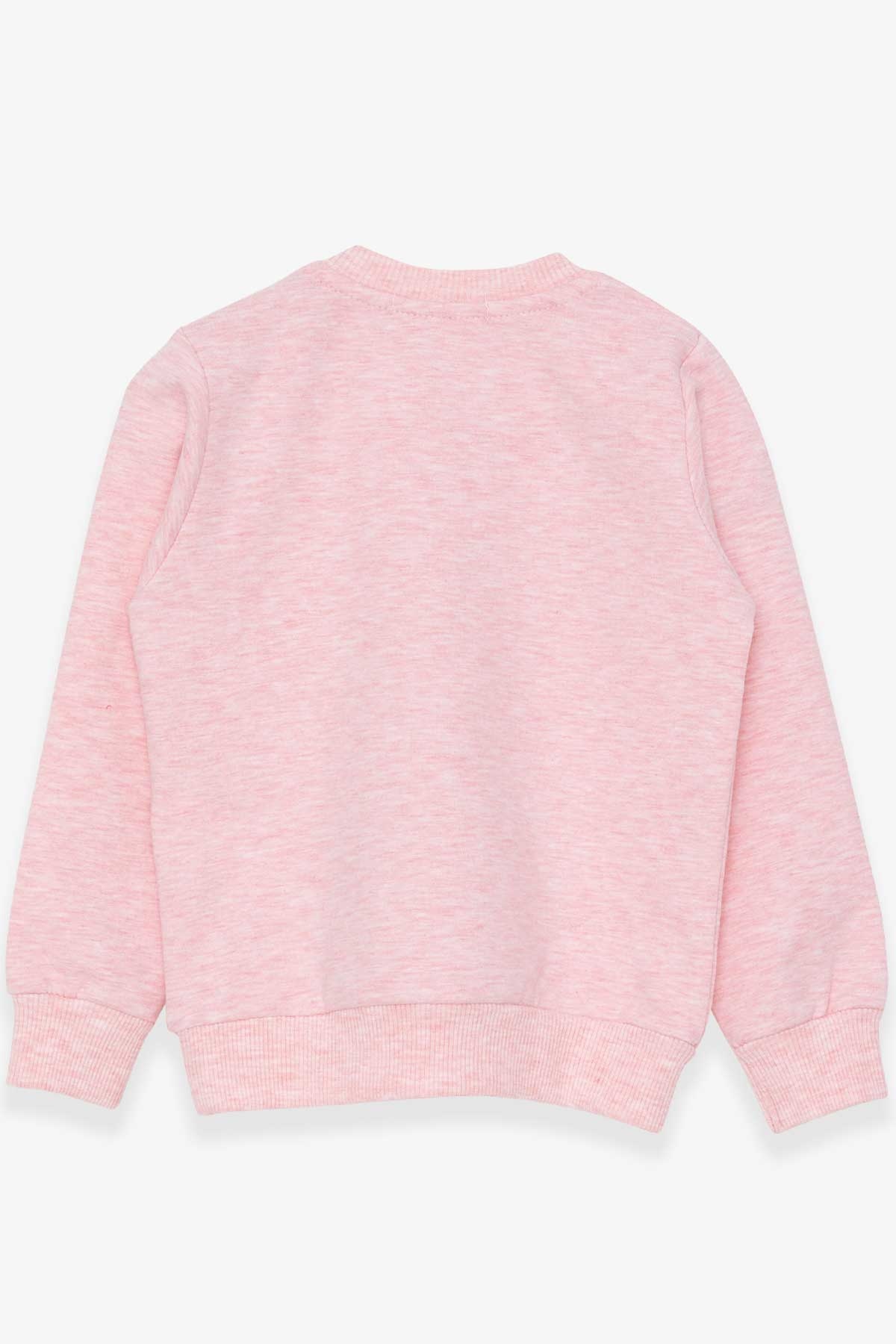 Breeze Kız Çocuk Sweatshirt Simli Kedicik Baskılı Somon Melanj (1.5-5 Yaş)