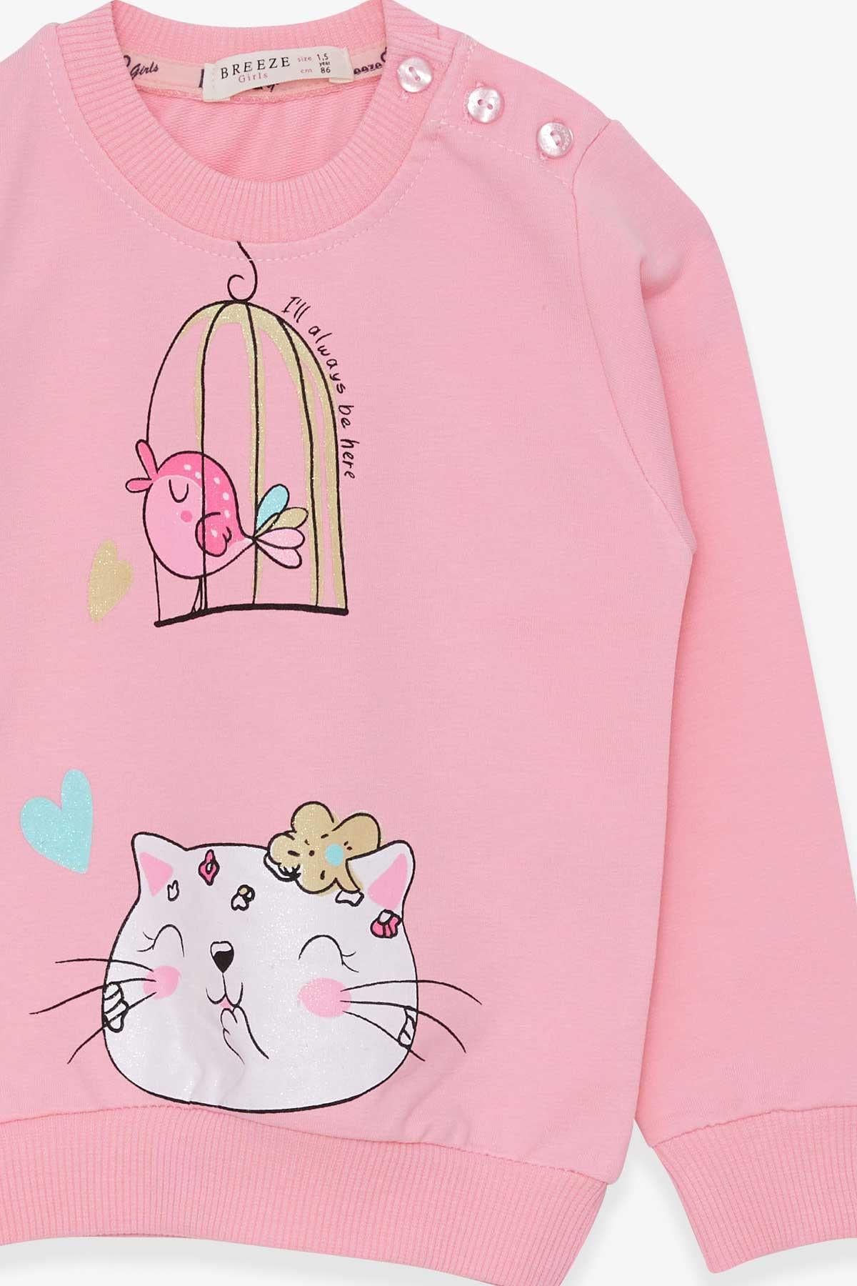 Breeze Kız Çocuk Sweatshirt Simli Kedicik Baskılı Pudra (1.5-4 Yaş)