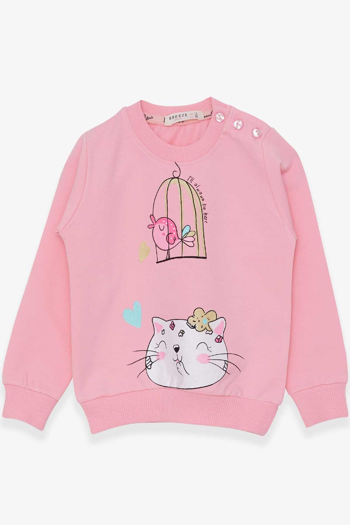 Breeze Kız Çocuk Sweatshirt Simli Kedicik Baskılı Pudra (1.5-4 Yaş)