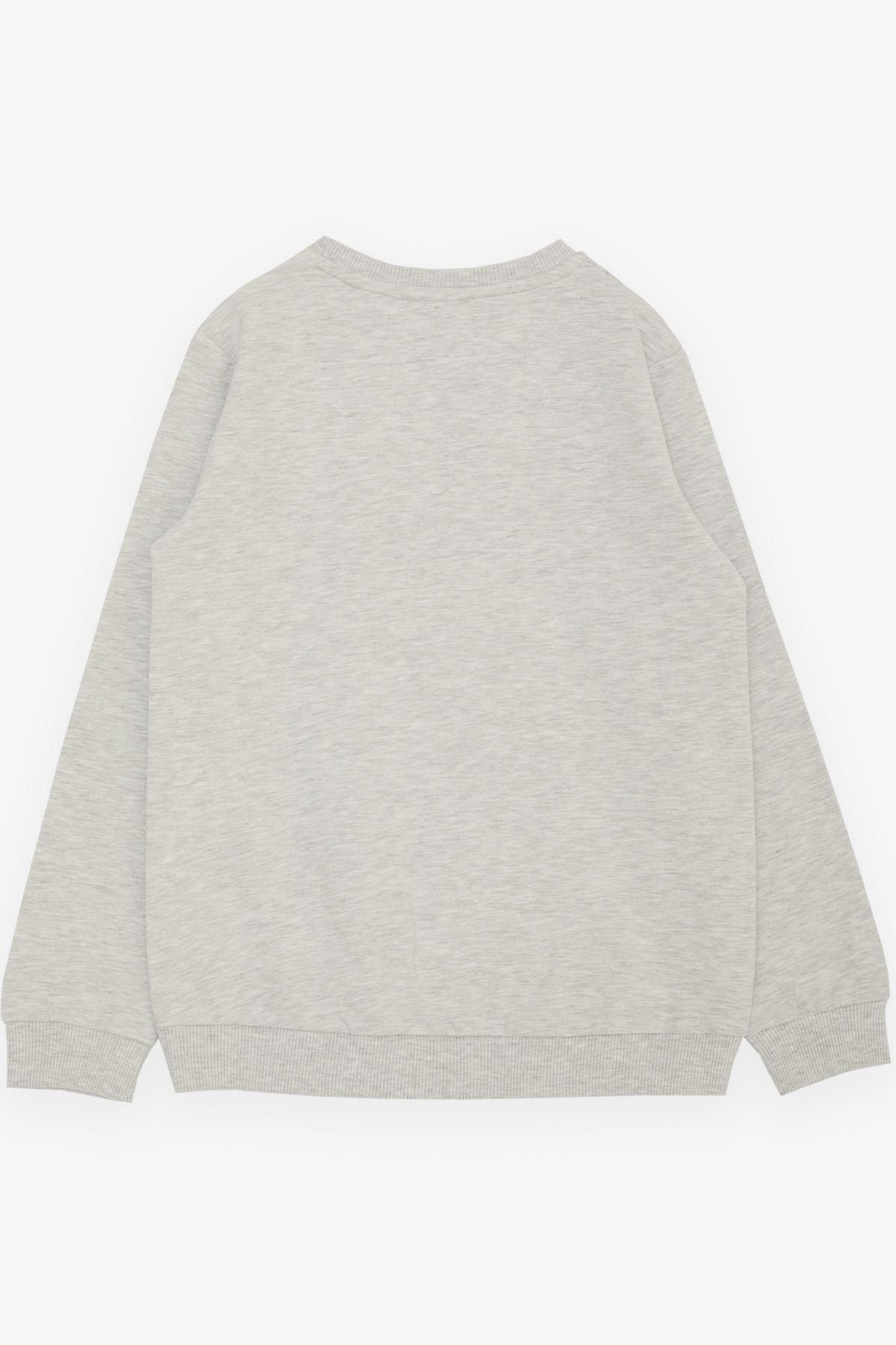 Breeze Kız Çocuk Sweatshirt Simli Kelebek Baskılı Açık Gri Melanj (9-12 Yaş)