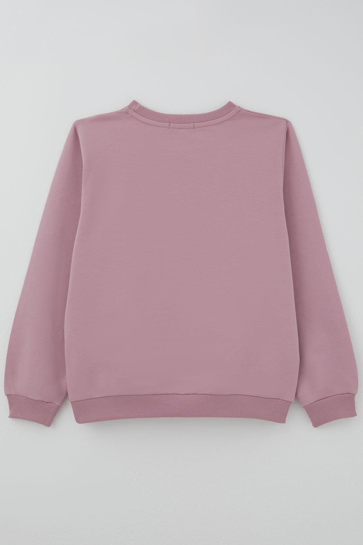 Breeze Kız Çocuk Sweatshirt Taş Aksesuarlı Gülkurusu (9-14 Yaş)