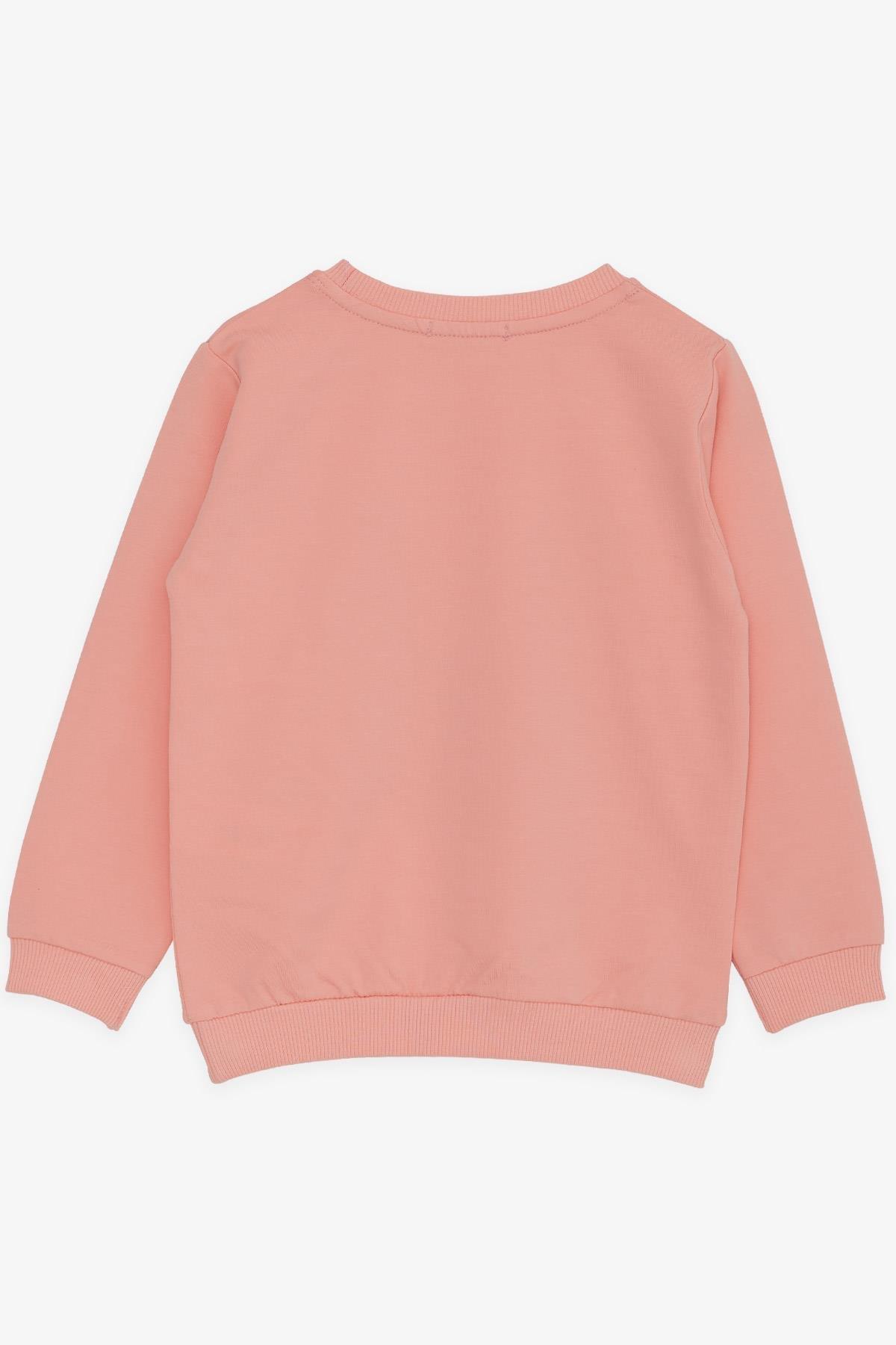 Breeze Kız Çocuk Sweatshirt Tavşan Baskılı Fiyonklu Somon (4 Yaş)
