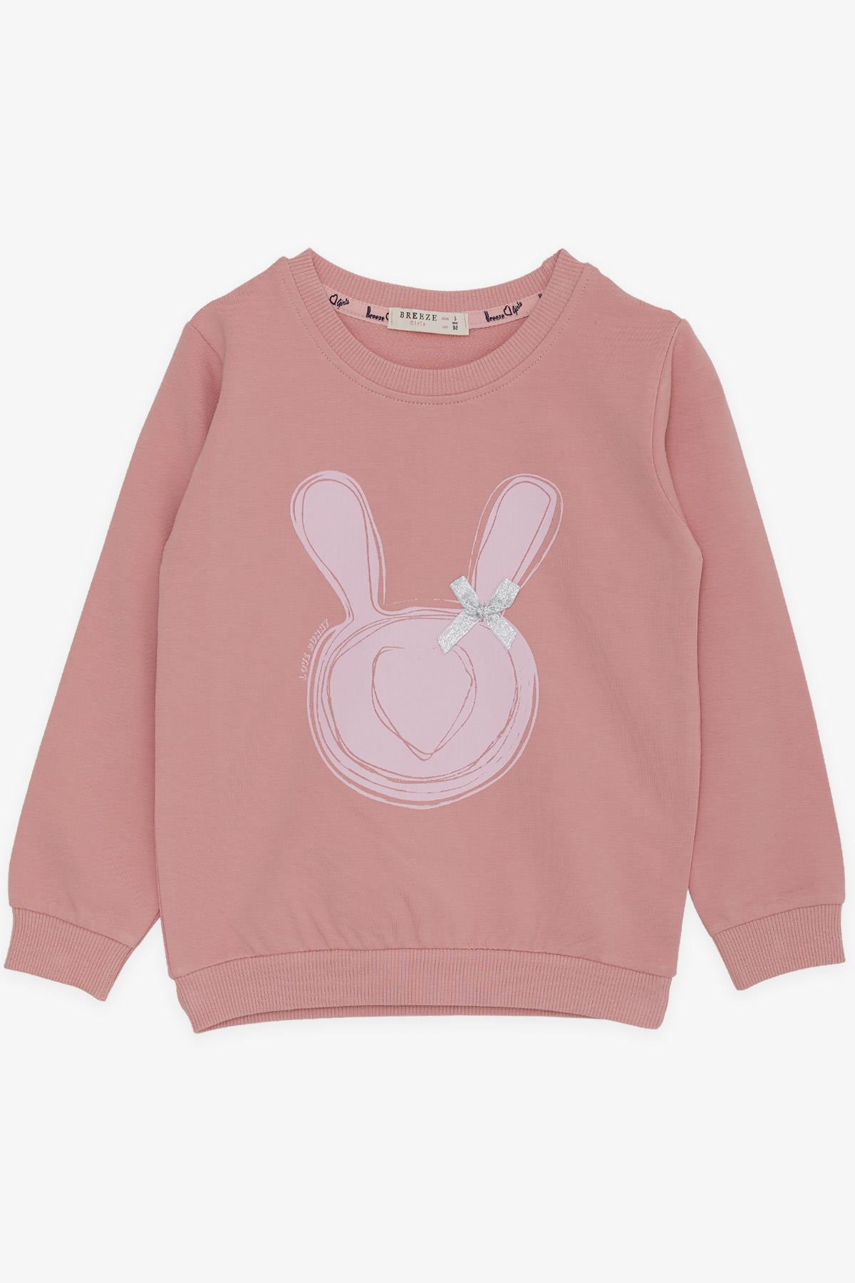 Breeze Kız Çocuk Sweatshirt Tavşan Baskılı Fiyonklu Gülkurusu (3-8 Yaş)