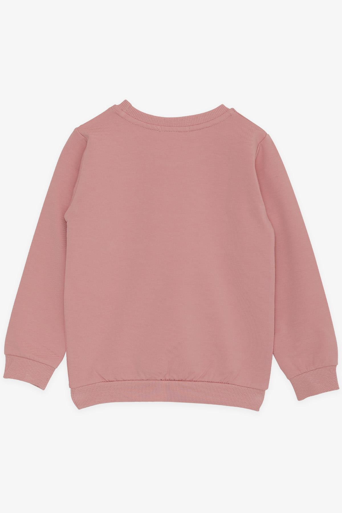 Breeze Kız Çocuk Sweatshirt Tavşan Baskılı Fiyonklu Gülkurusu (3-8 Yaş)
