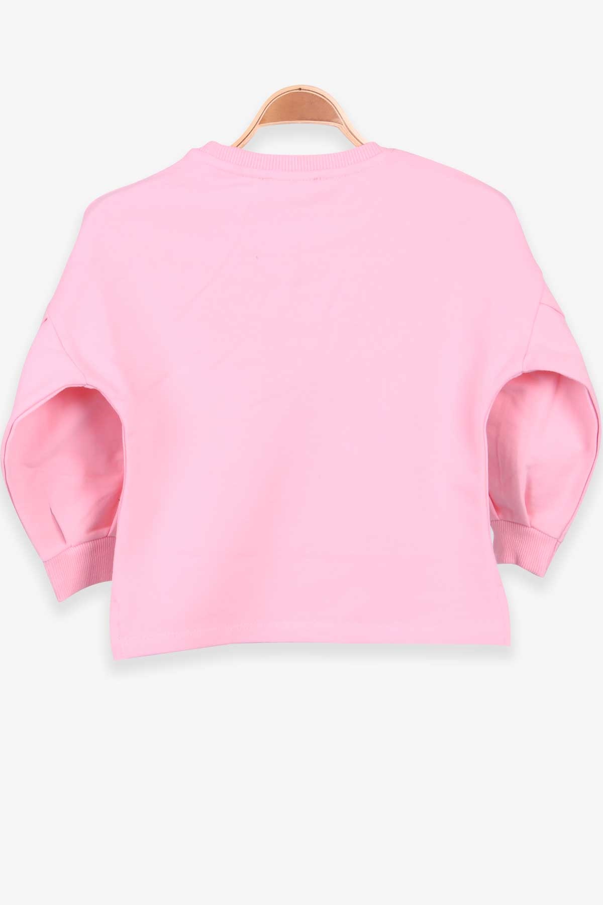 Breeze Kız Çocuk Sweatshirt Tavşan Nakışlı Pudra (2-6 Yaş)