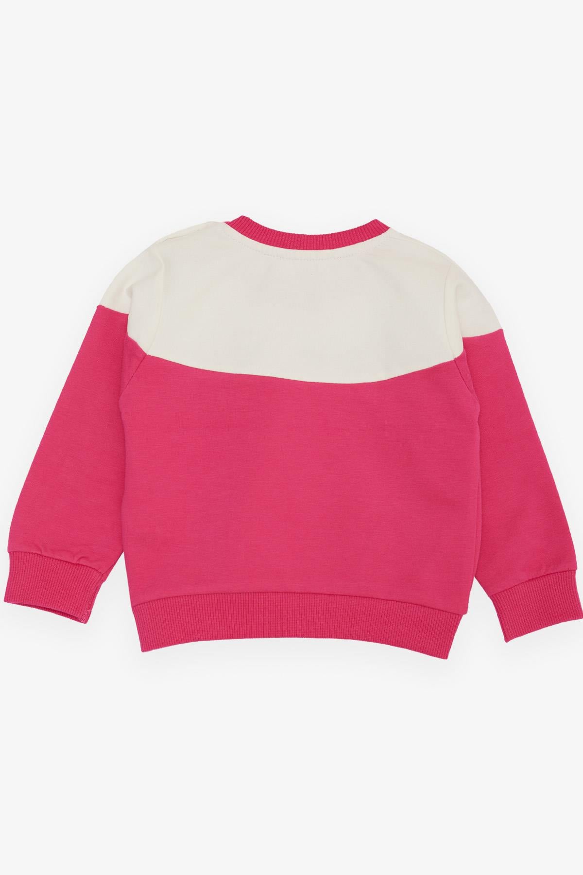Breeze Kız Çocuk Sweatshirt Tavşan Nakışlı Fuşya (1-3 Yaş)