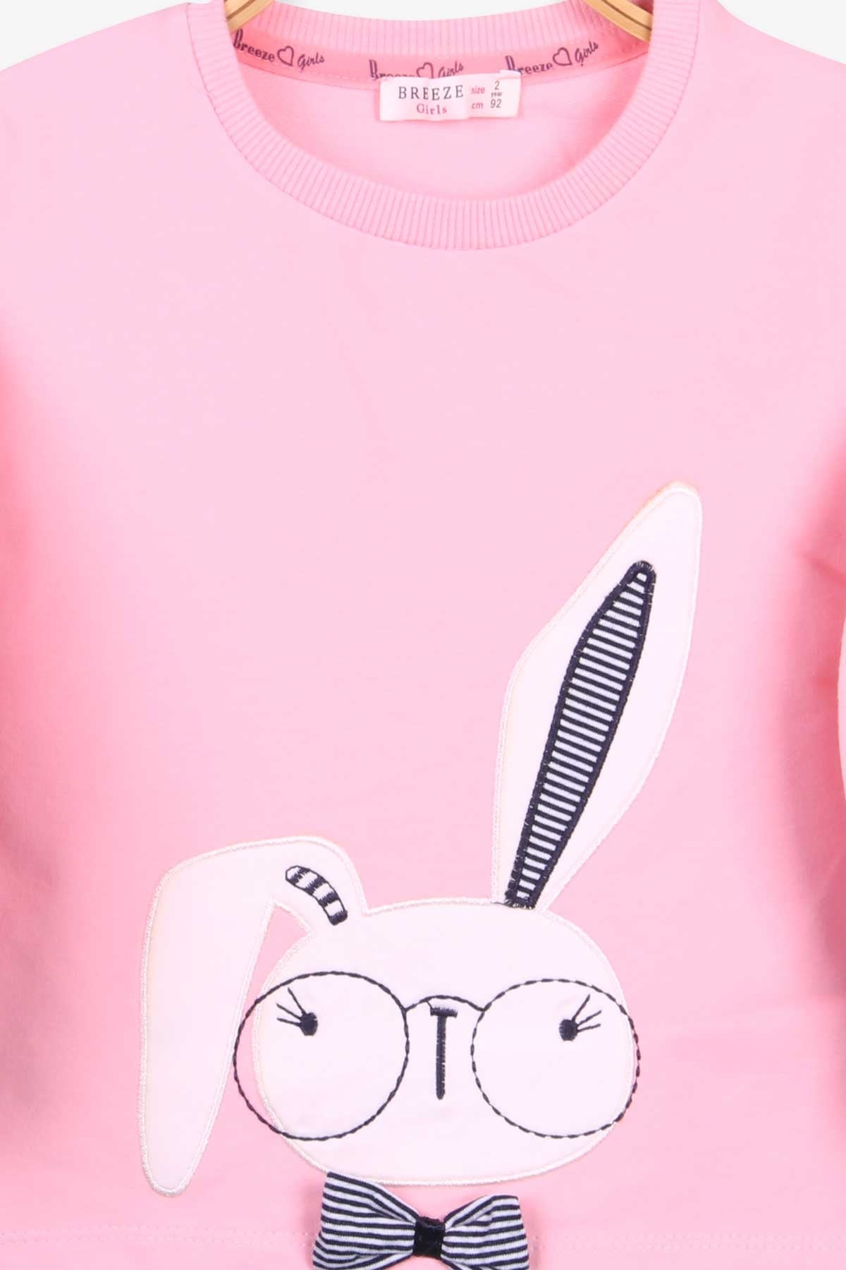 Breeze Kız Çocuk Sweatshirt Tavşan Nakışlı Pudra (2-6 Yaş)